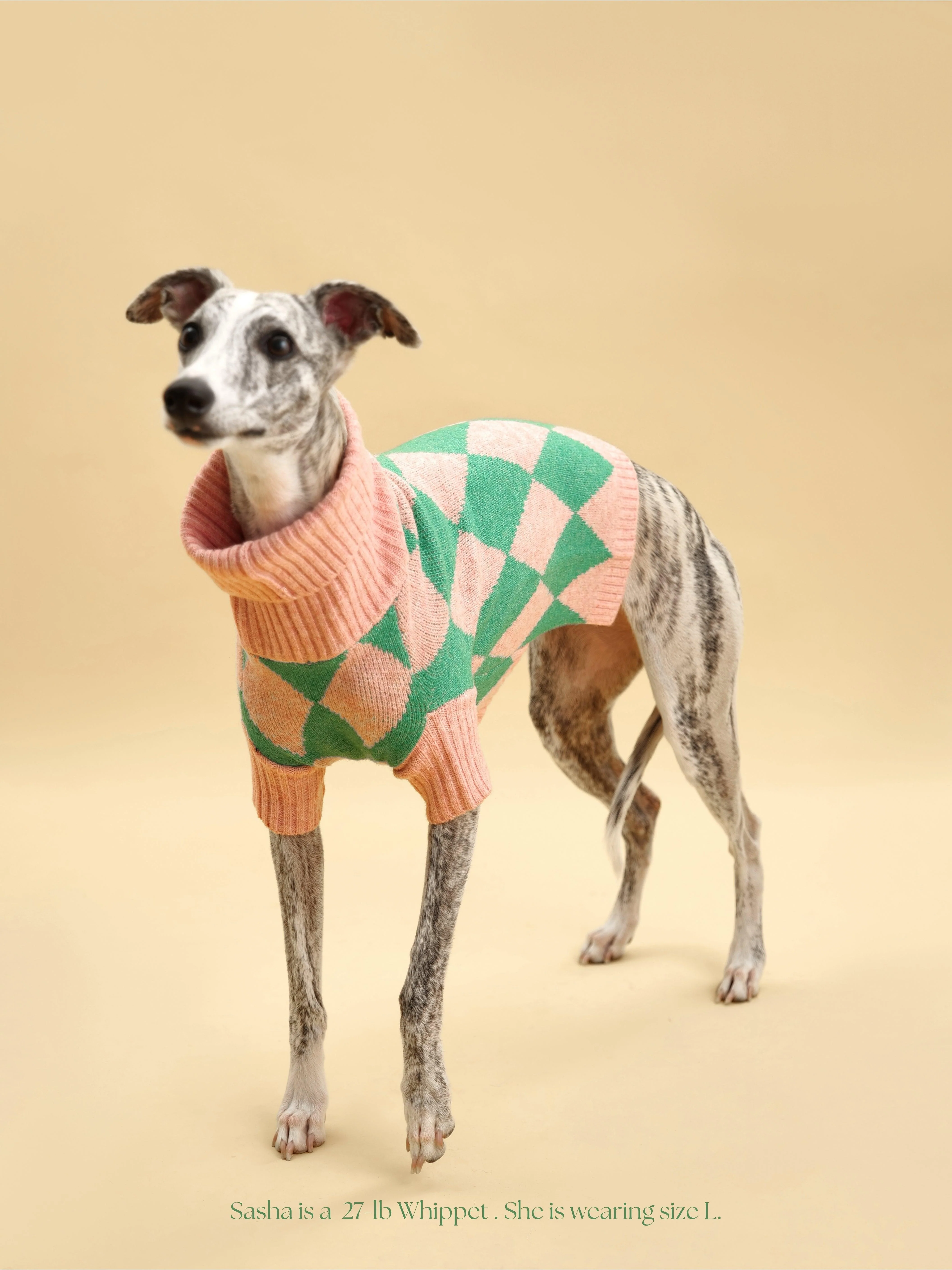 Sunday Brunch in Brooklyn Sweater - Image 2