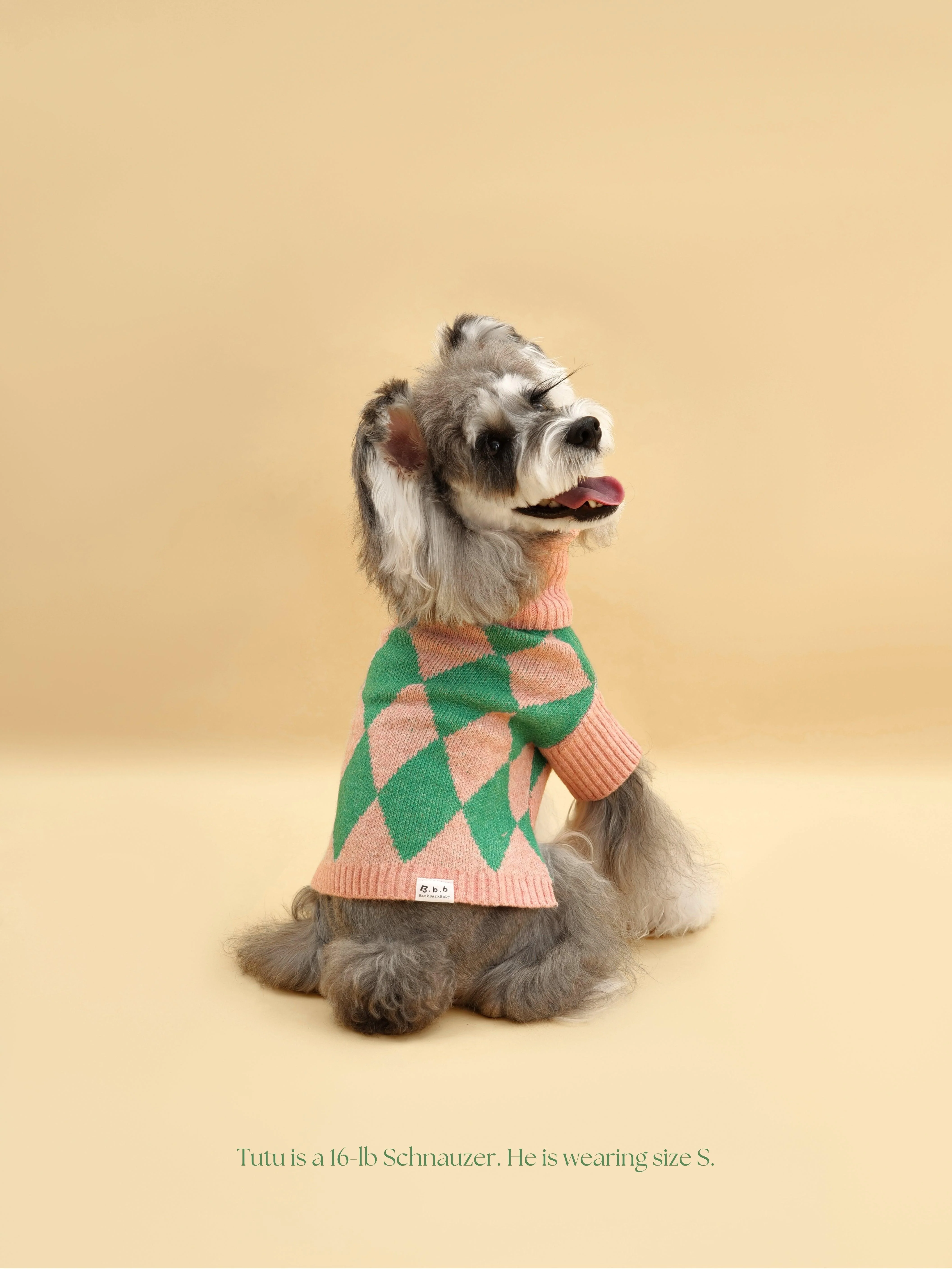Sunday Brunch in Brooklyn Sweater - Image 4