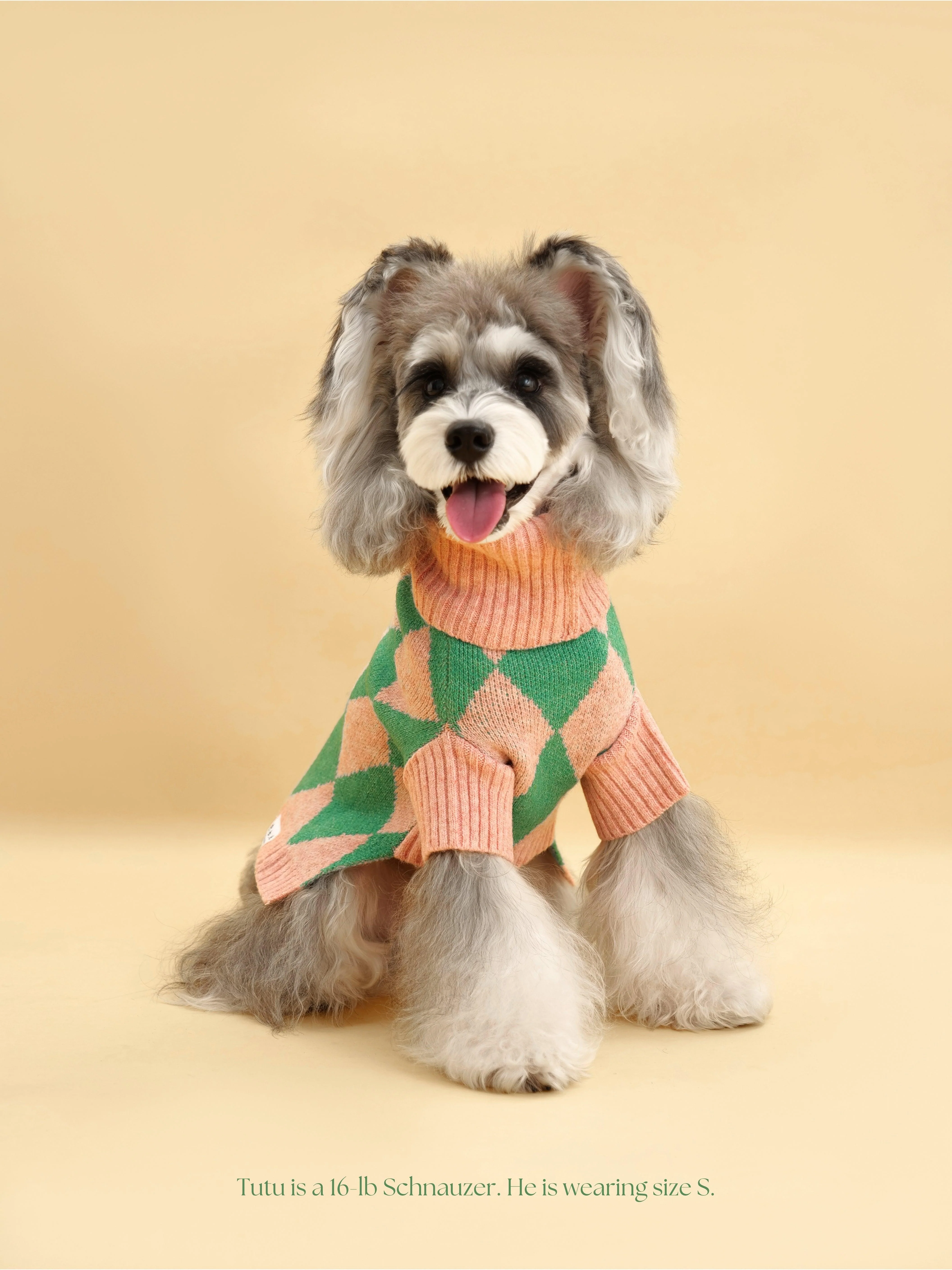 Sunday Brunch in Brooklyn Sweater - Image 5