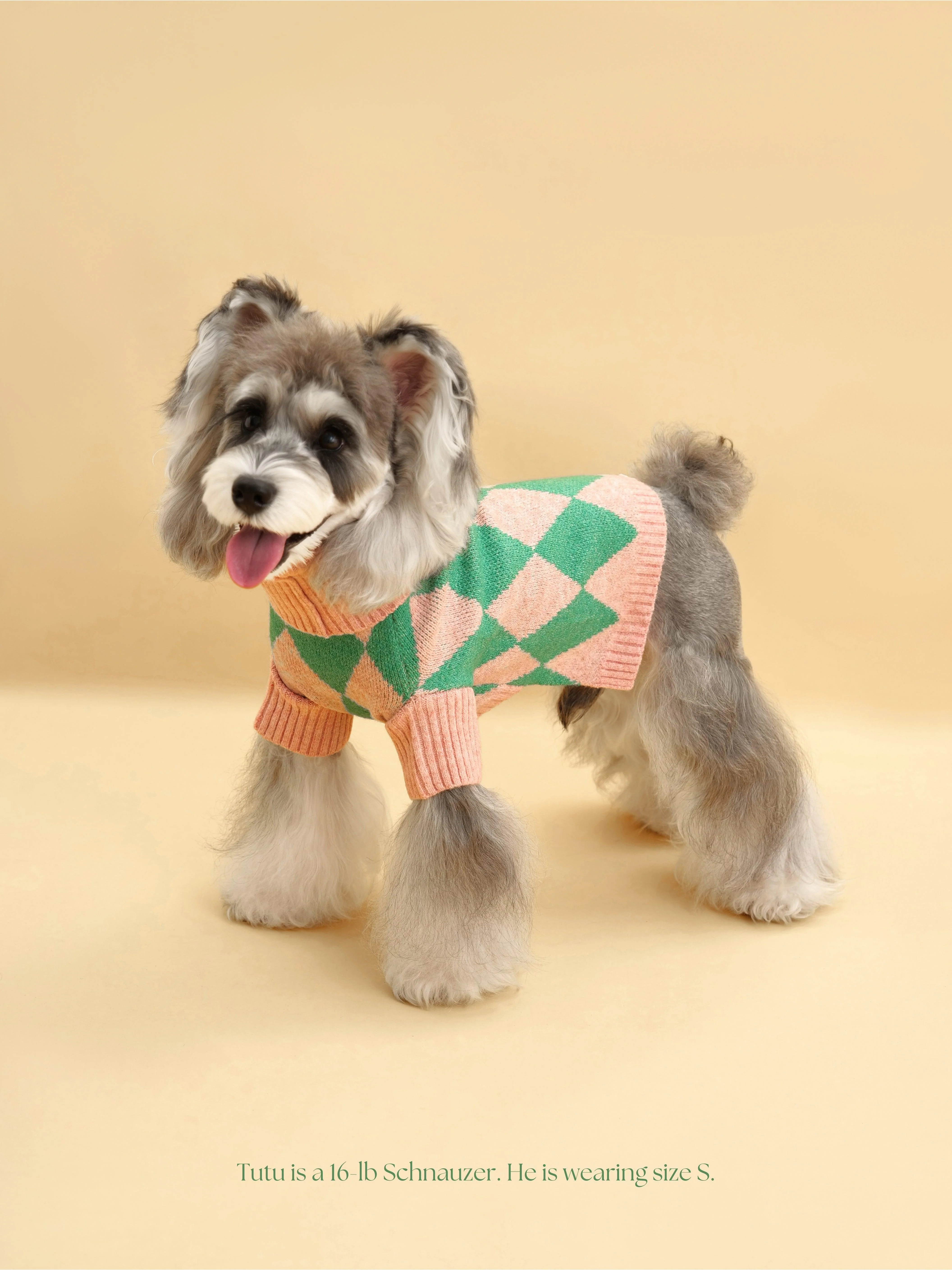 Sunday Brunch in Brooklyn Sweater - Image 8