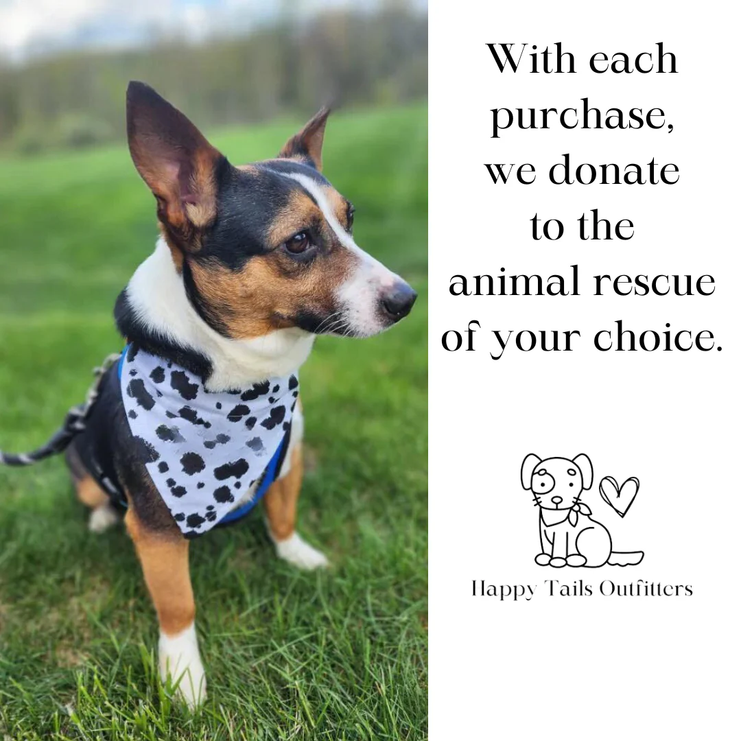 Sunflower Dog Bandana - Image 8