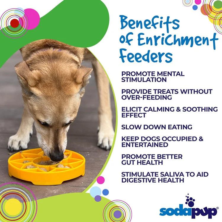 Sunflower eTray Shallow Slow Feeder Dog Bowl for Enrichment | USA Made - Image 3