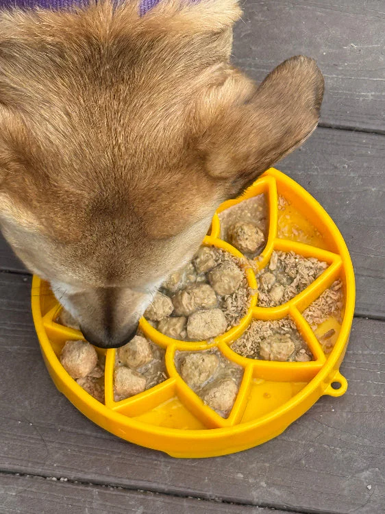 Sunflower eTray Shallow Slow Feeder Dog Bowl for Enrichment | USA Made - Image 7