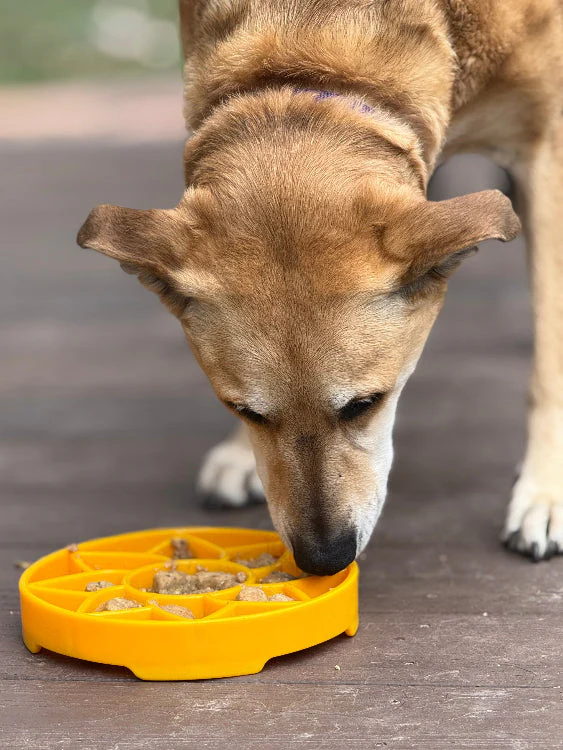 Sunflower eTray Shallow Slow Feeder Dog Bowl for Enrichment | USA Made - Image 8