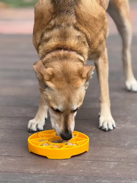 Sunflower eTray Shallow Slow Feeder Dog Bowl for Enrichment | USA Made - Image 9