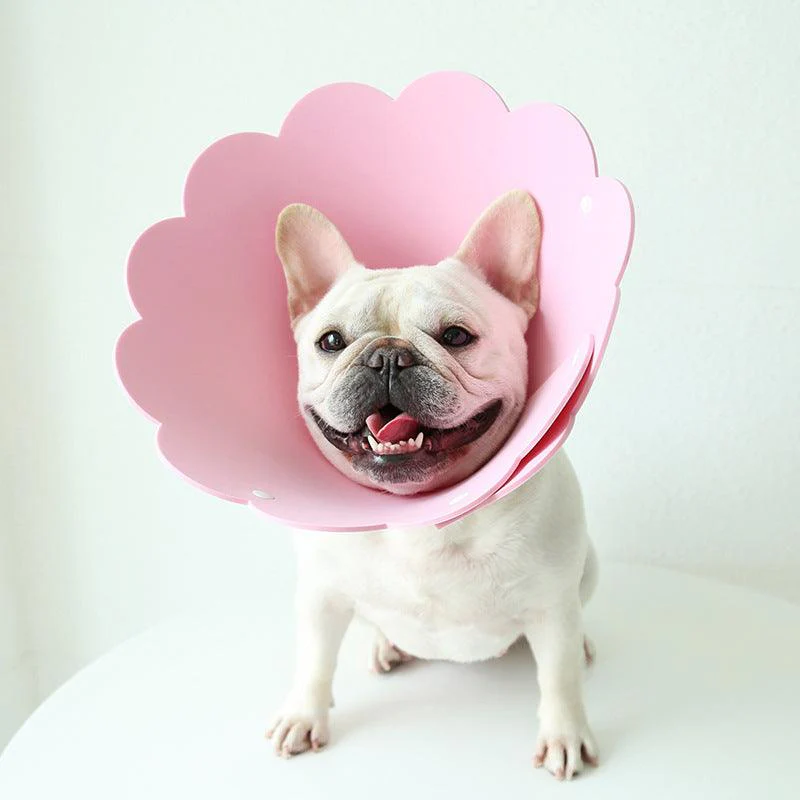 Sunflower Pet Recovery Collar Head Cover - Image 10