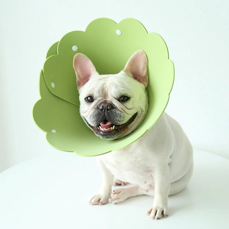 Sunflower Pet Recovery Collar Head Cover - Image 3
