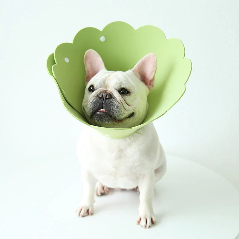 Sunflower Pet Recovery Collar Head Cover - Image 7
