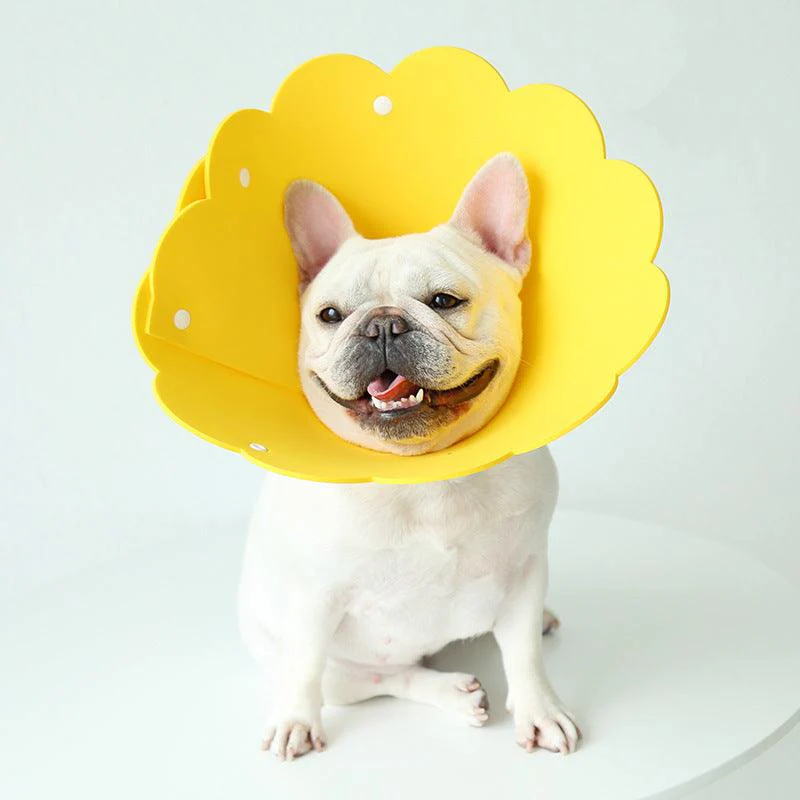 Sunflower Pet Recovery Collar Head Cover - Image 8