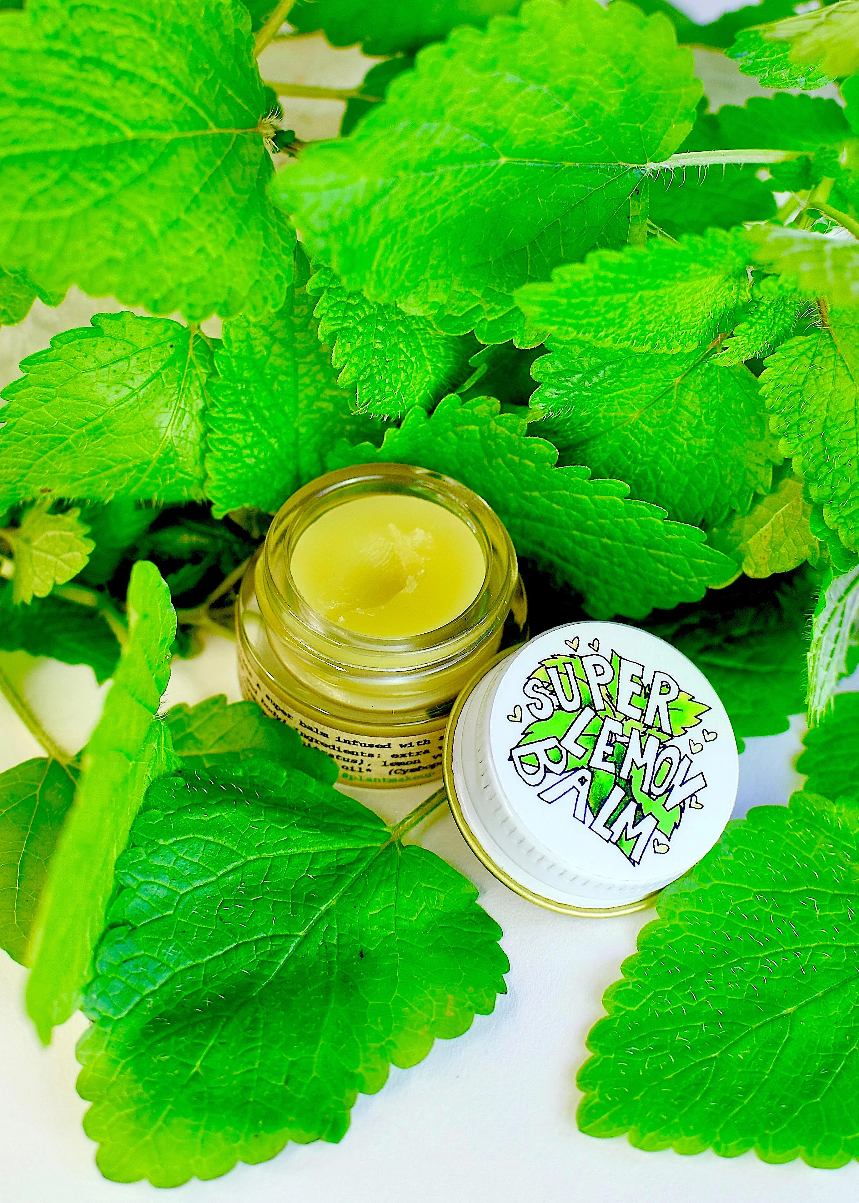 SUPER LEMON BALM - Image 3
