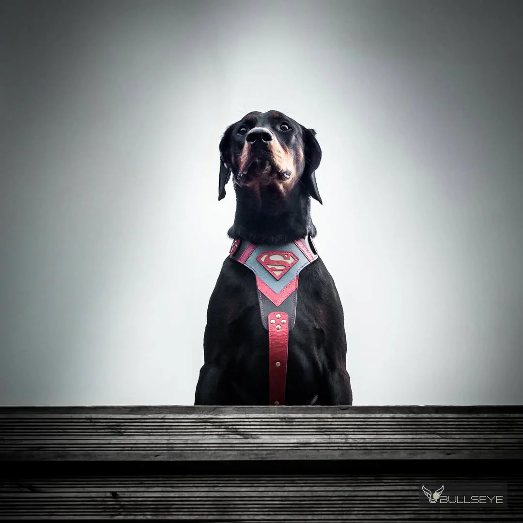 Superdog Harness - Image 4