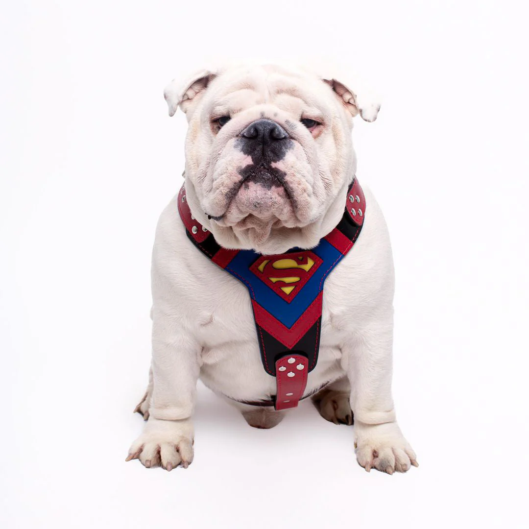 Superdog Harness Medium Size - Image 3