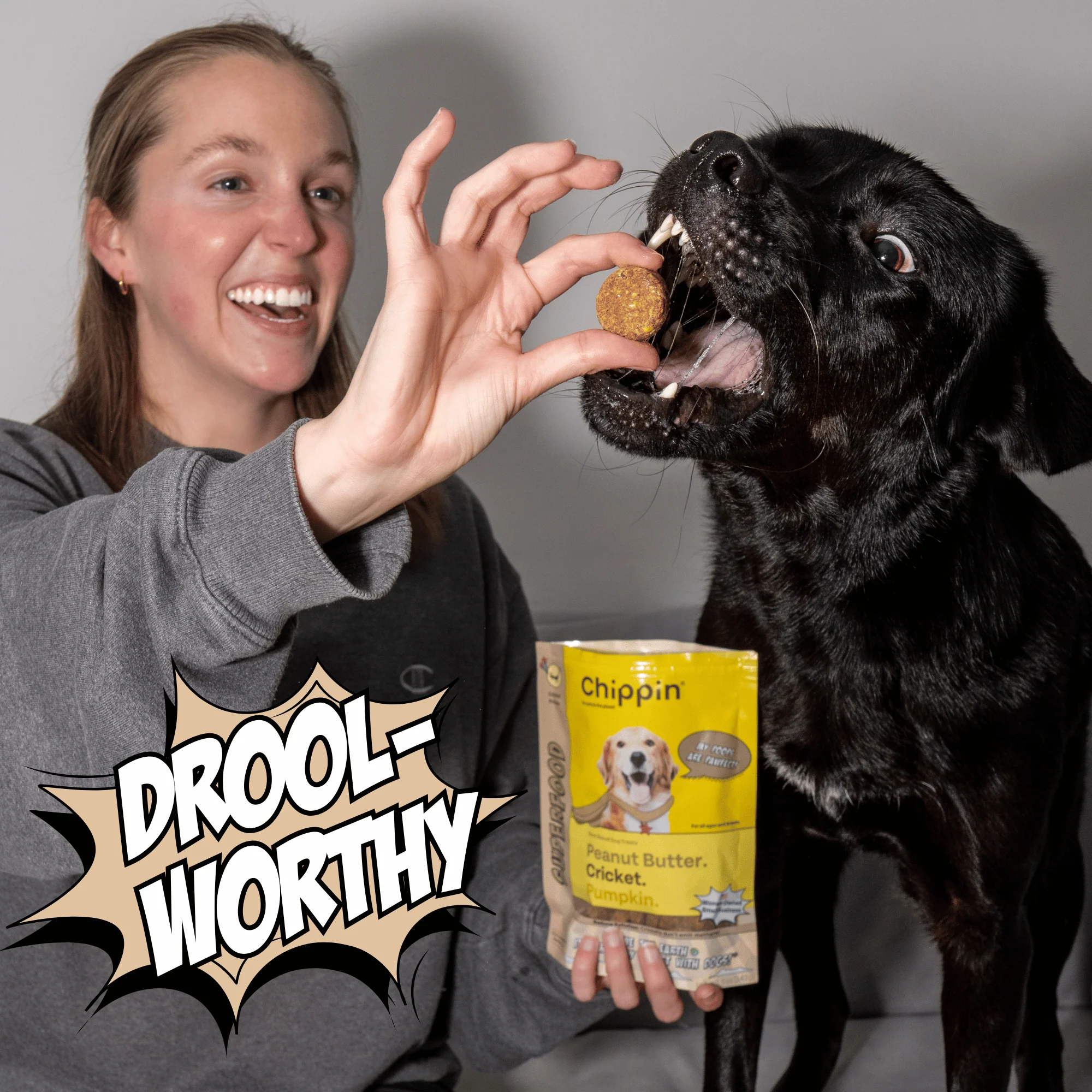 Superfood Cricket & Pumpkin Dog Treats, 4-Pack - Image 3