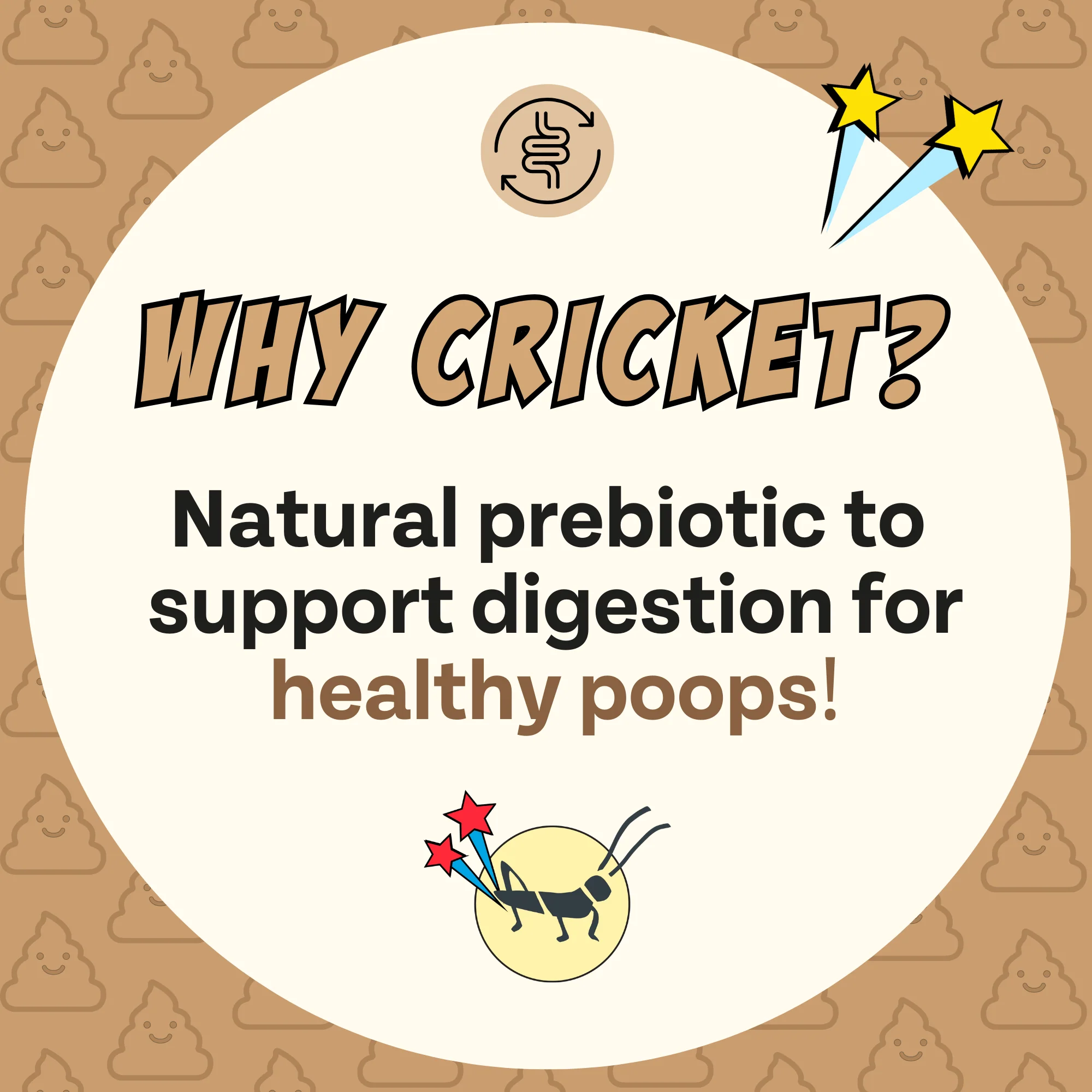 Superfood Cricket & Pumpkin Dog Treats, 4-Pack - Image 8