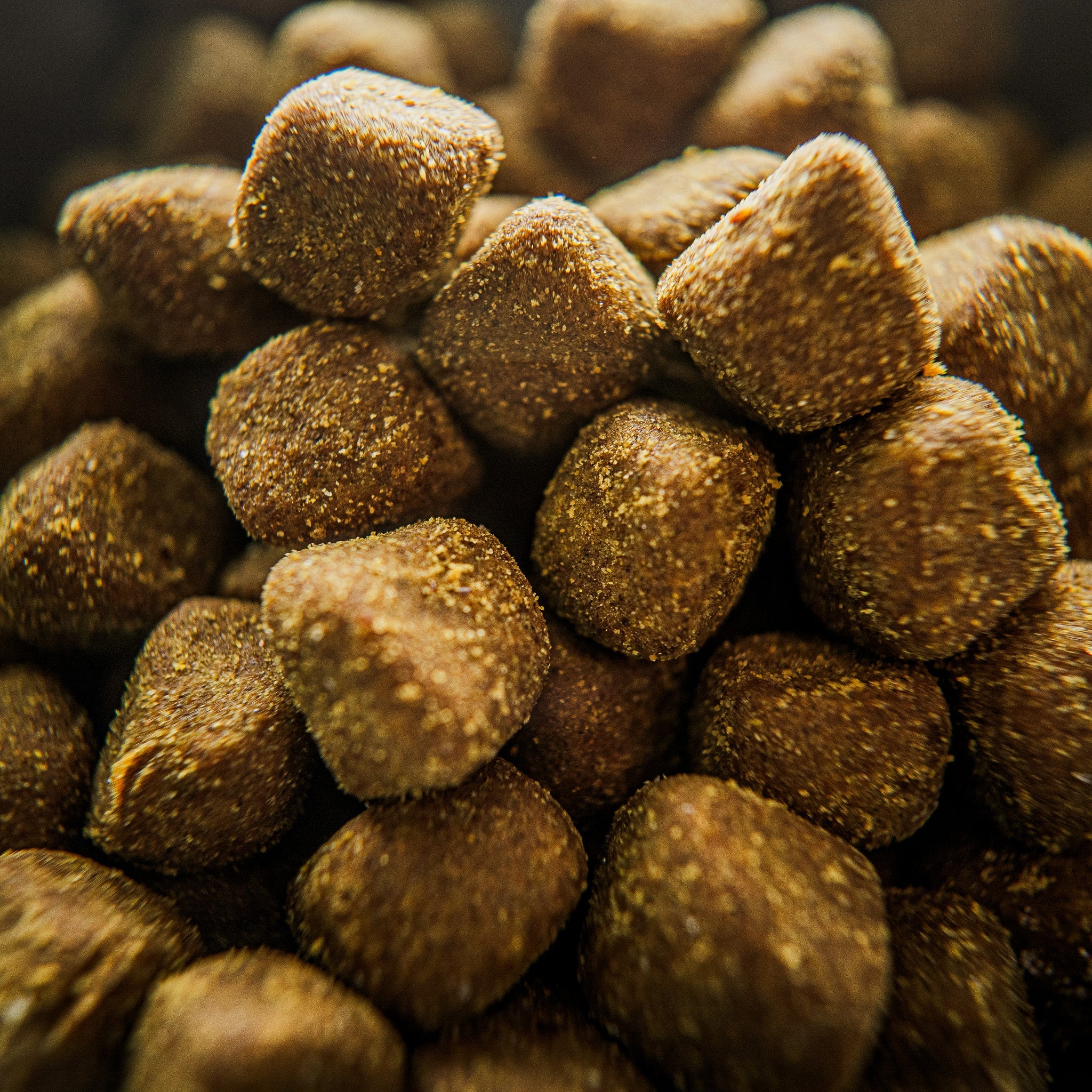 Supplement: Allergy - Image 3