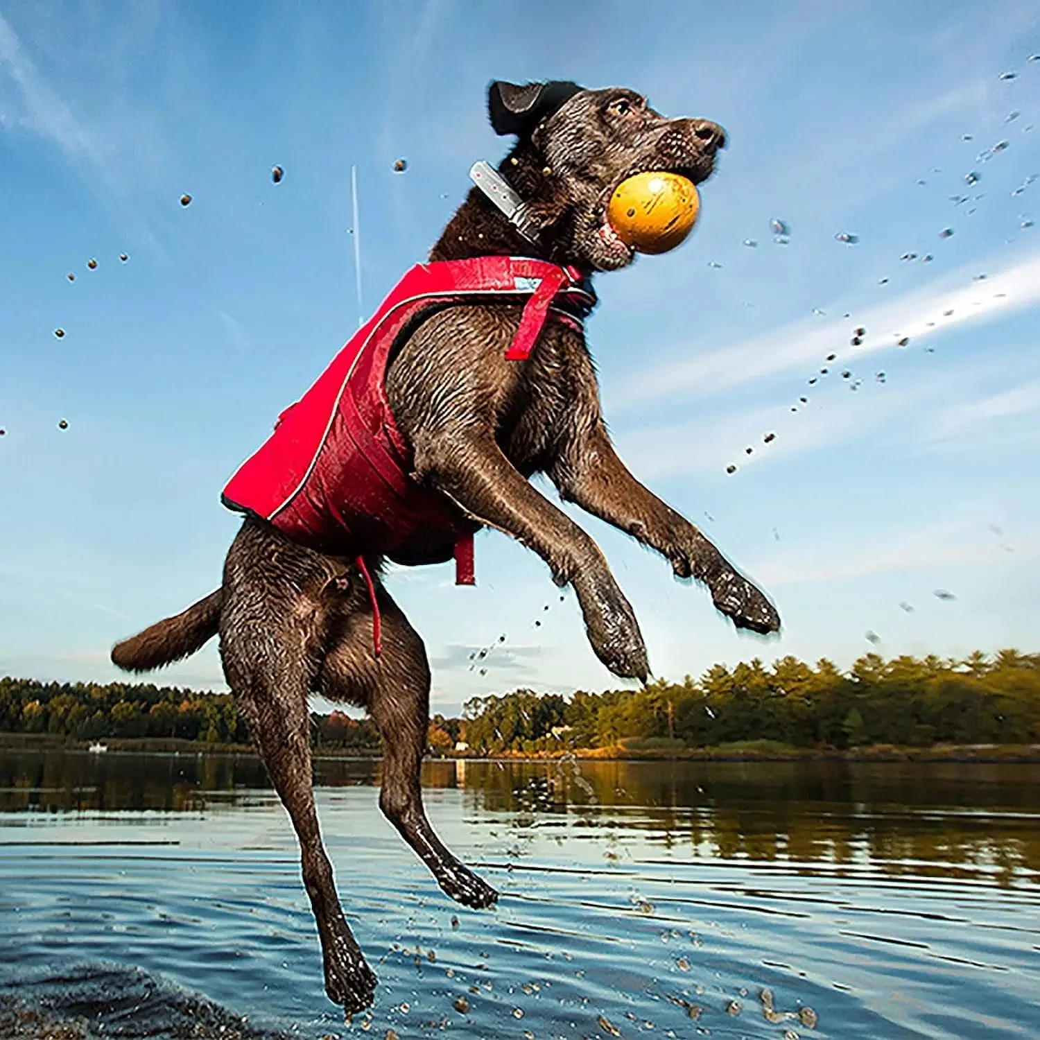 Surf N’ Turf Dog Life Jacket - Flotation Life Vest for Swimming and Boating - Image 5
