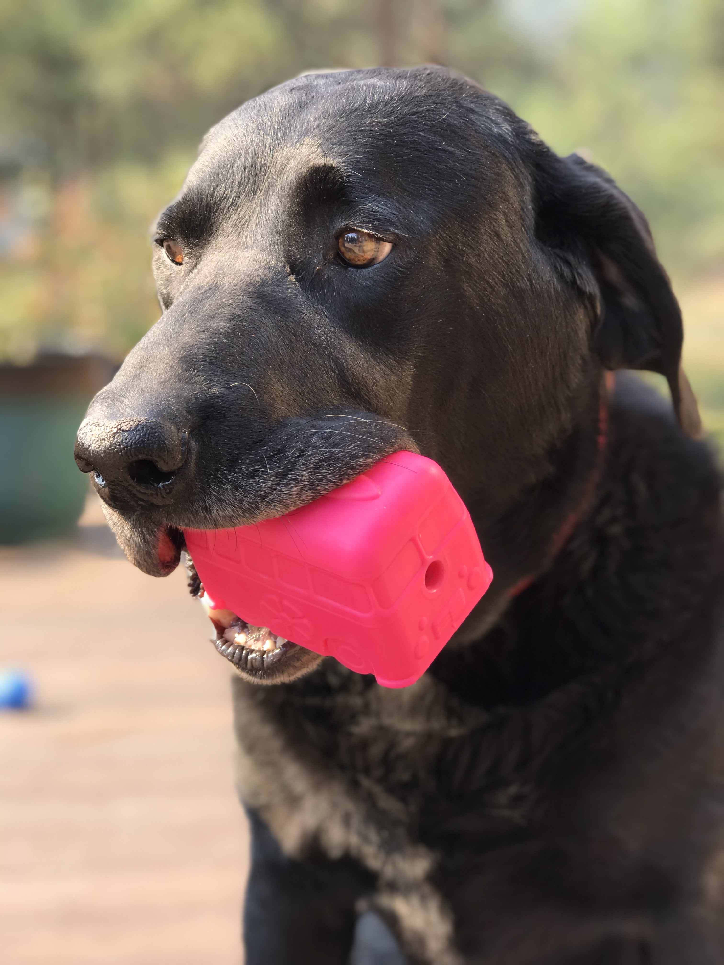 Surf's Up! Retro Van Dog Toy - Durable Chew Toy for Large Dogs | USA Made - Image 8