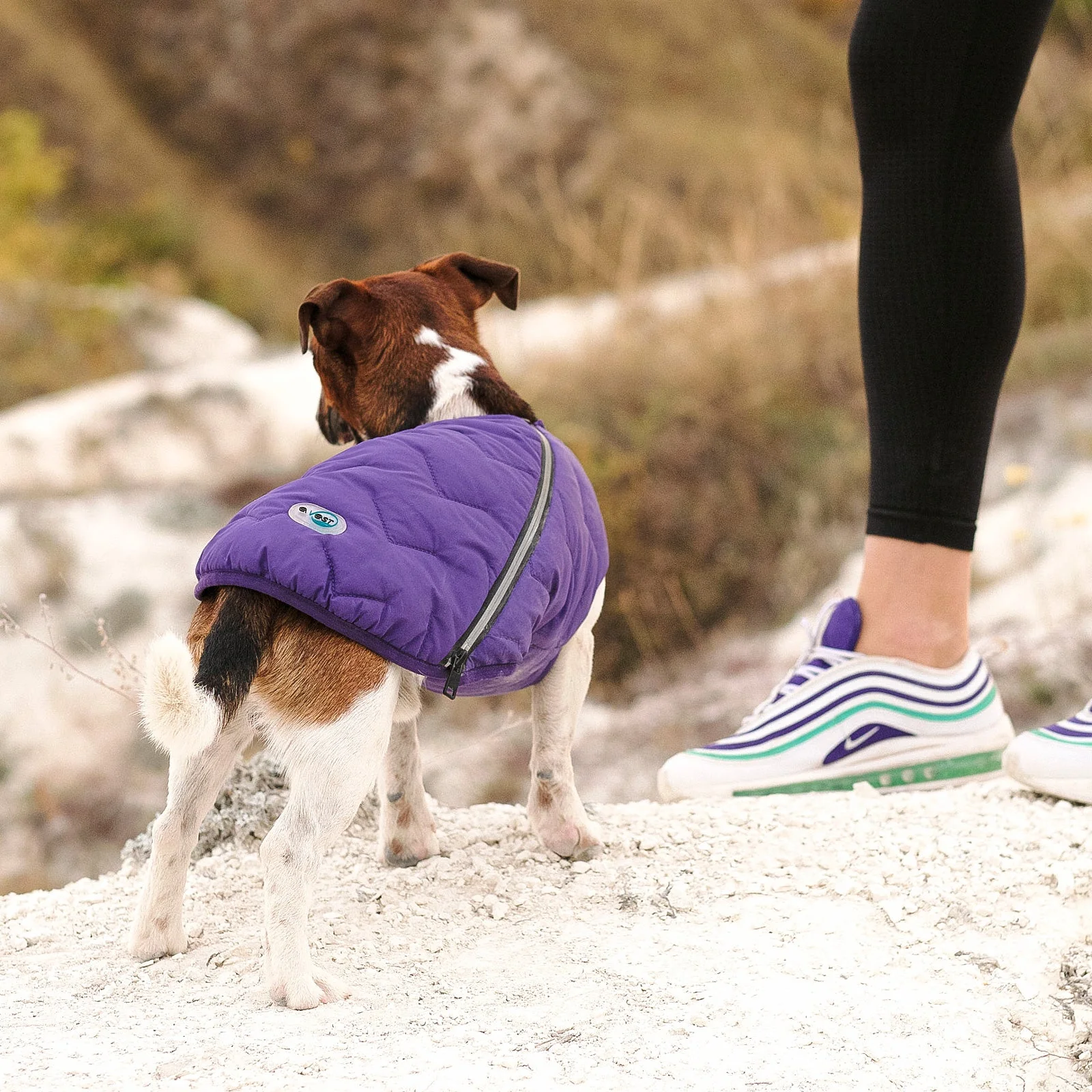 Sustainable Eco-Friendly Dog Jacket / Vest - Made in Ukraine - Image 14