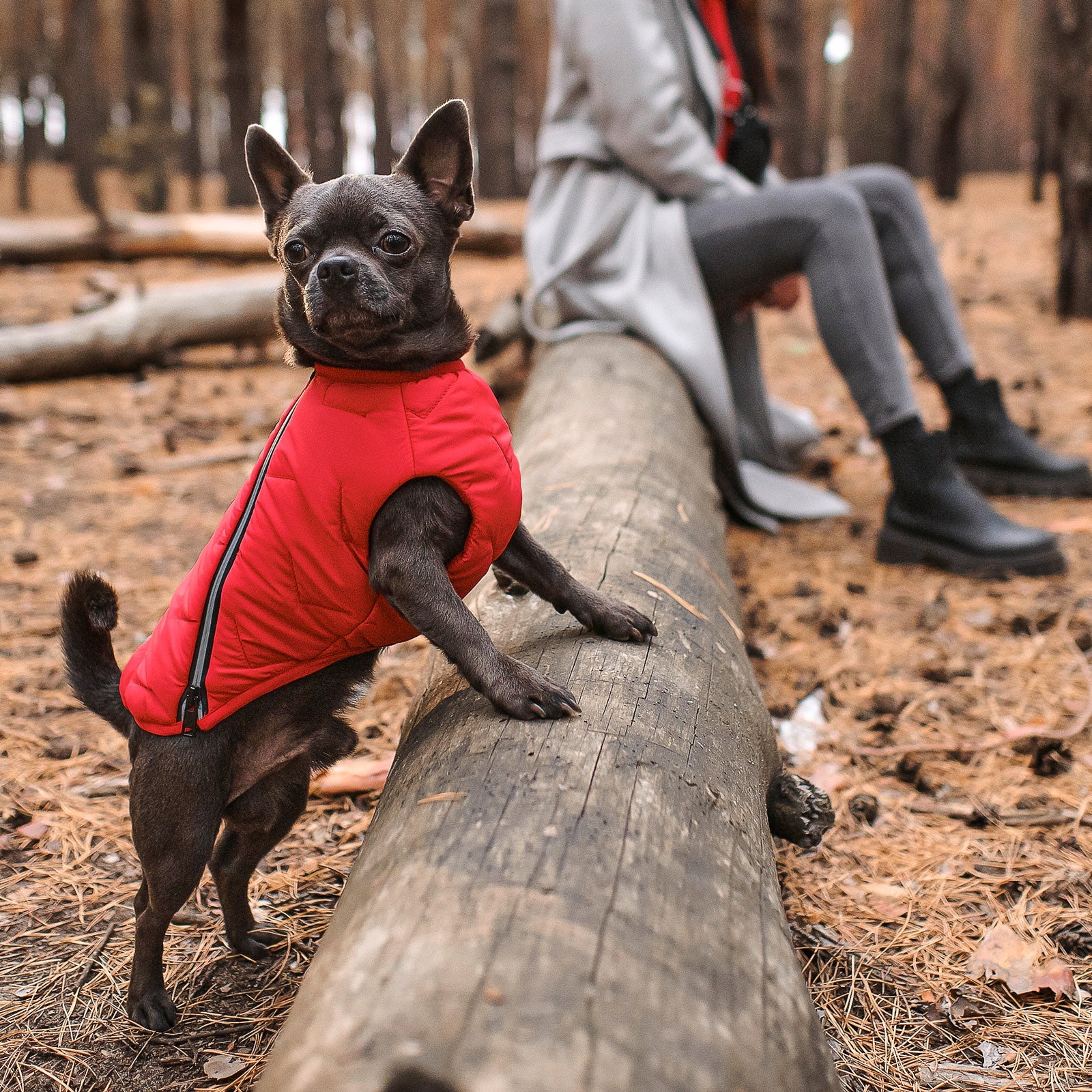 Sustainable Eco-Friendly Dog Jacket / Vest - Made in Ukraine - Image 15