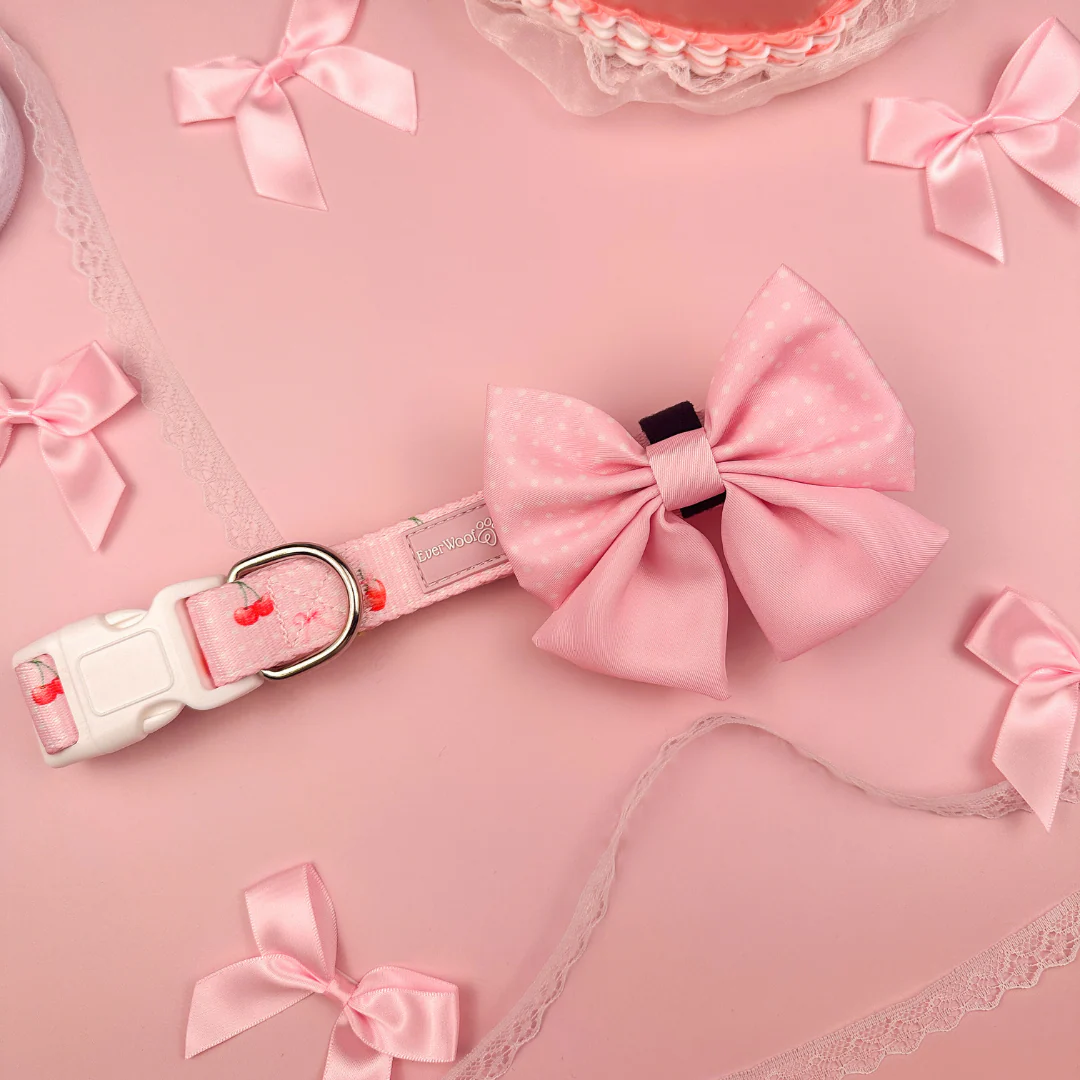 Sweet Chérie Collar - Image 3