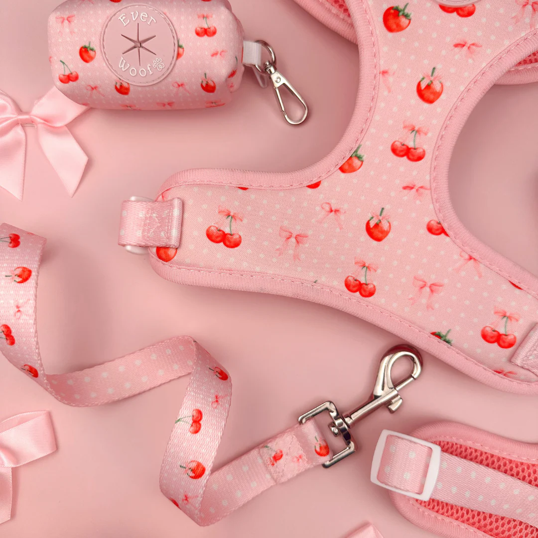 Sweet Chérie Leash - Image 2