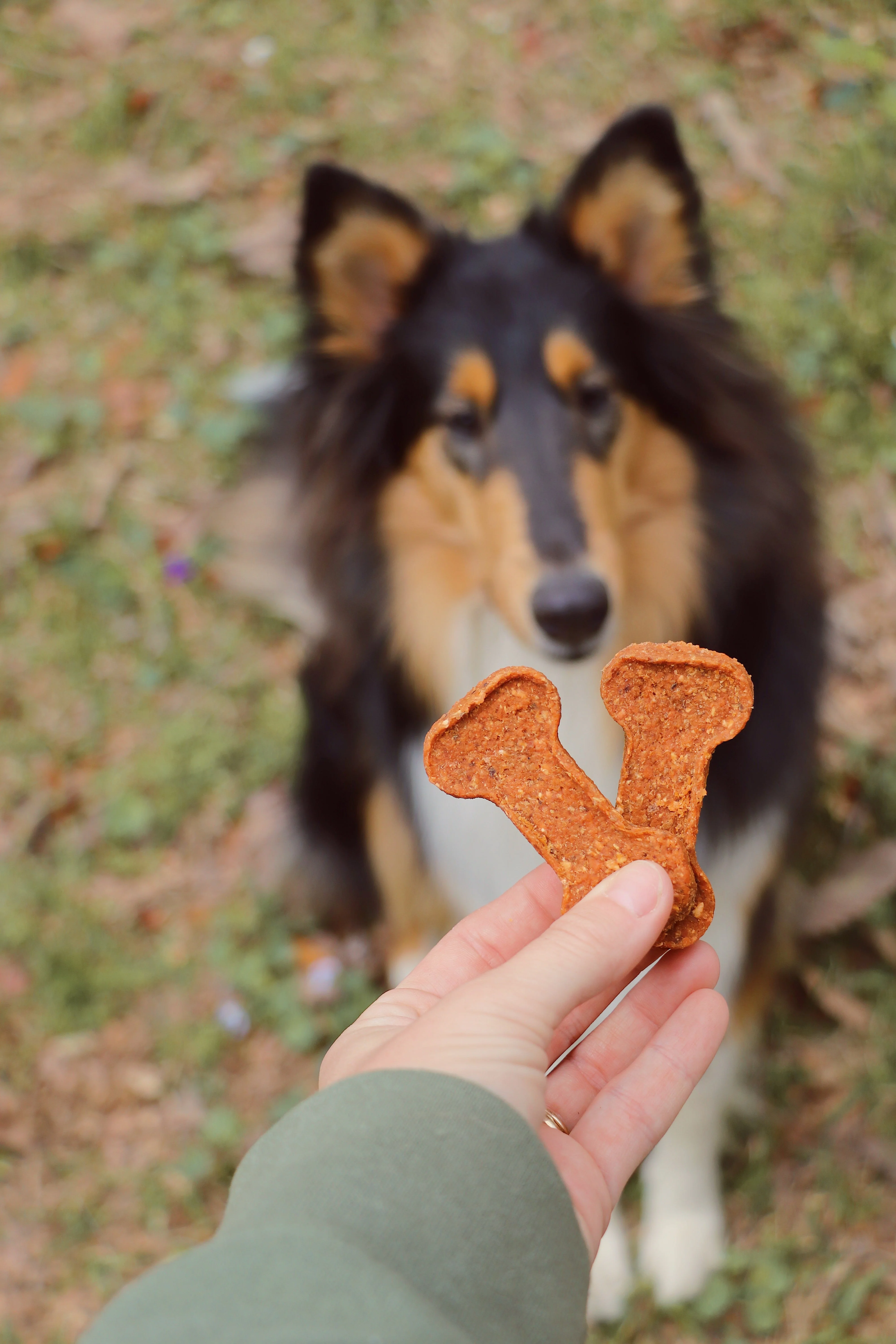 Sweet Potato Bones - Image 4