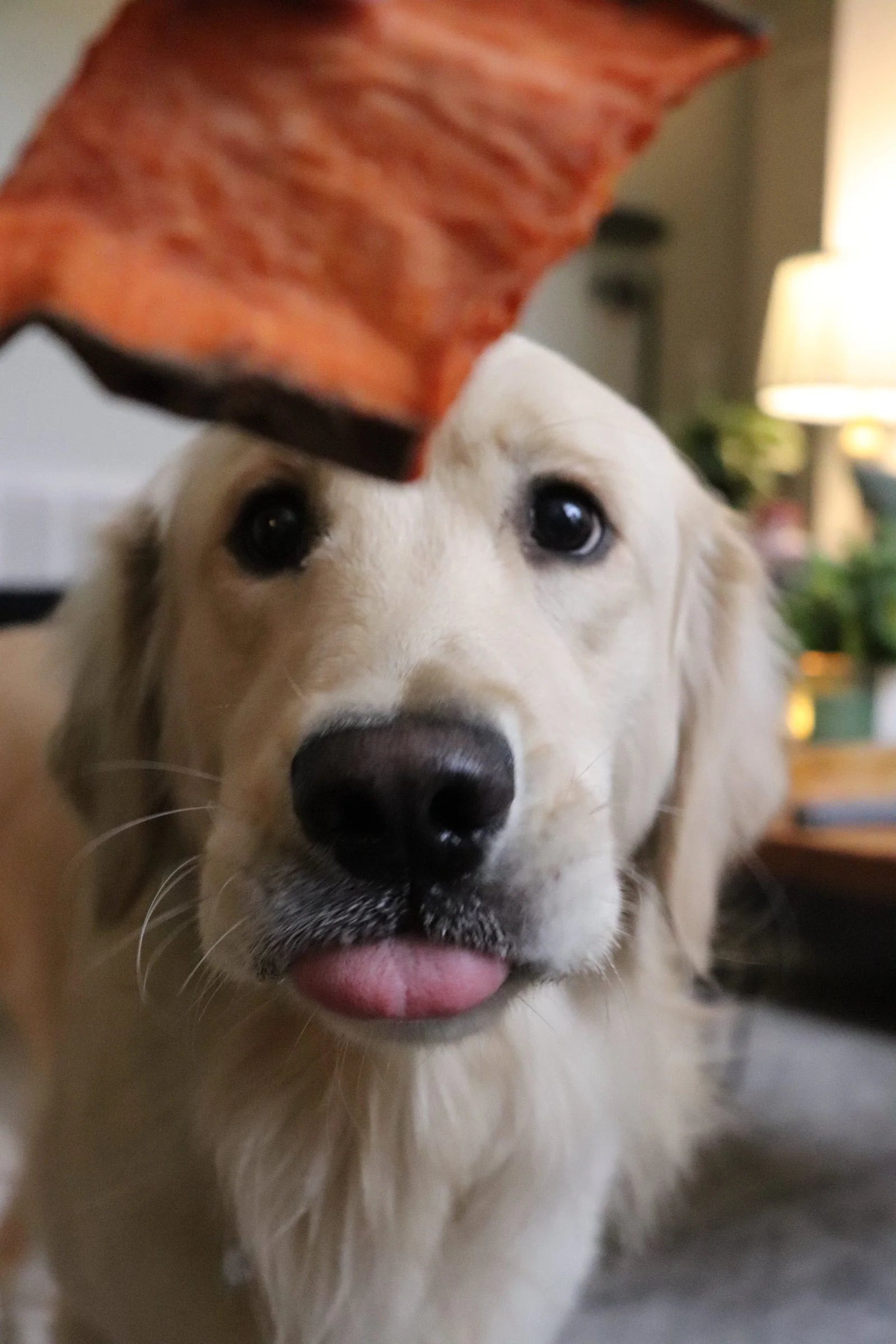 Sweet Potato Chews - Image 5
