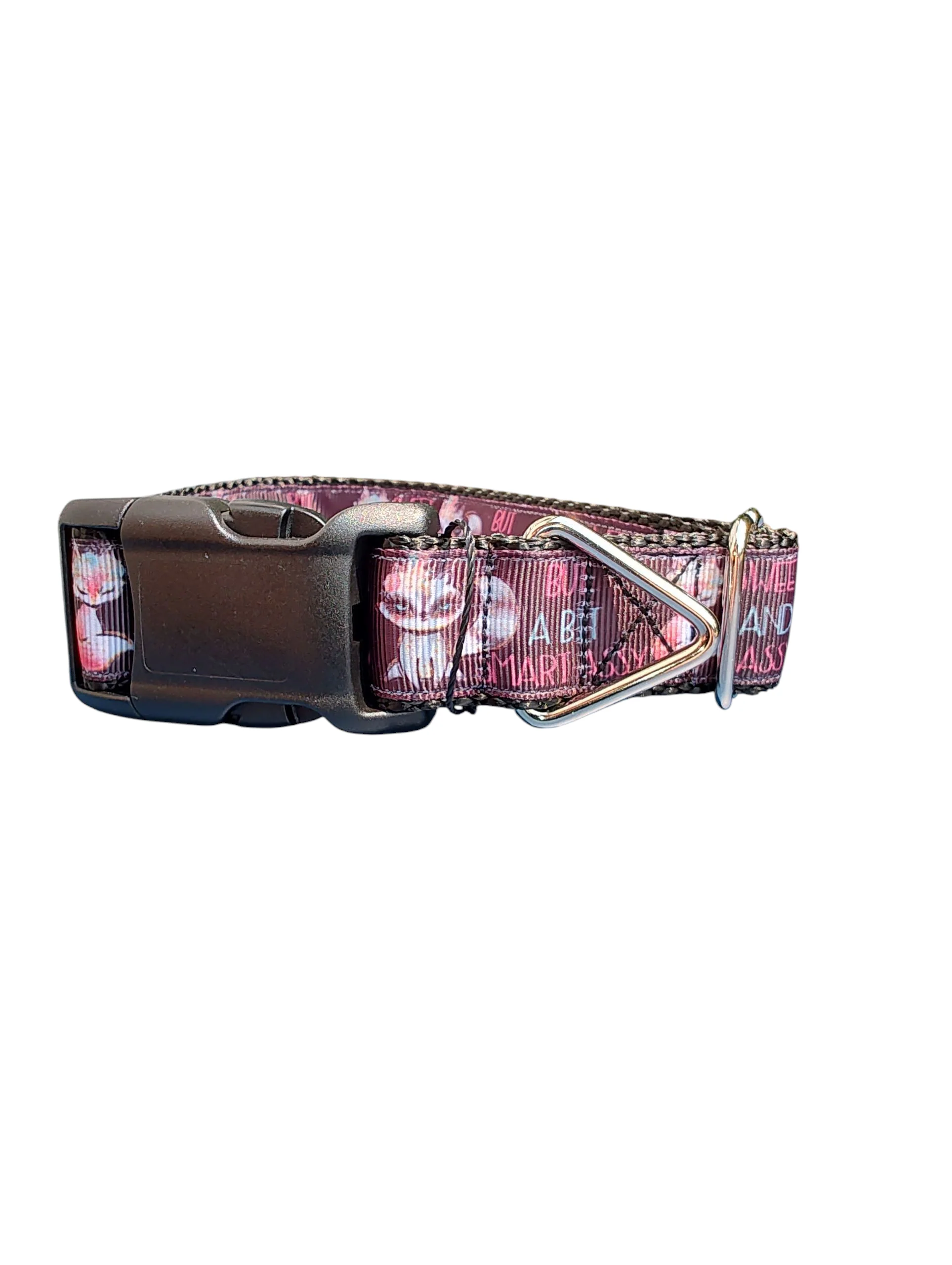 Sweet, Sassy, Smart Assy Nylon Dog Collar - Image 2