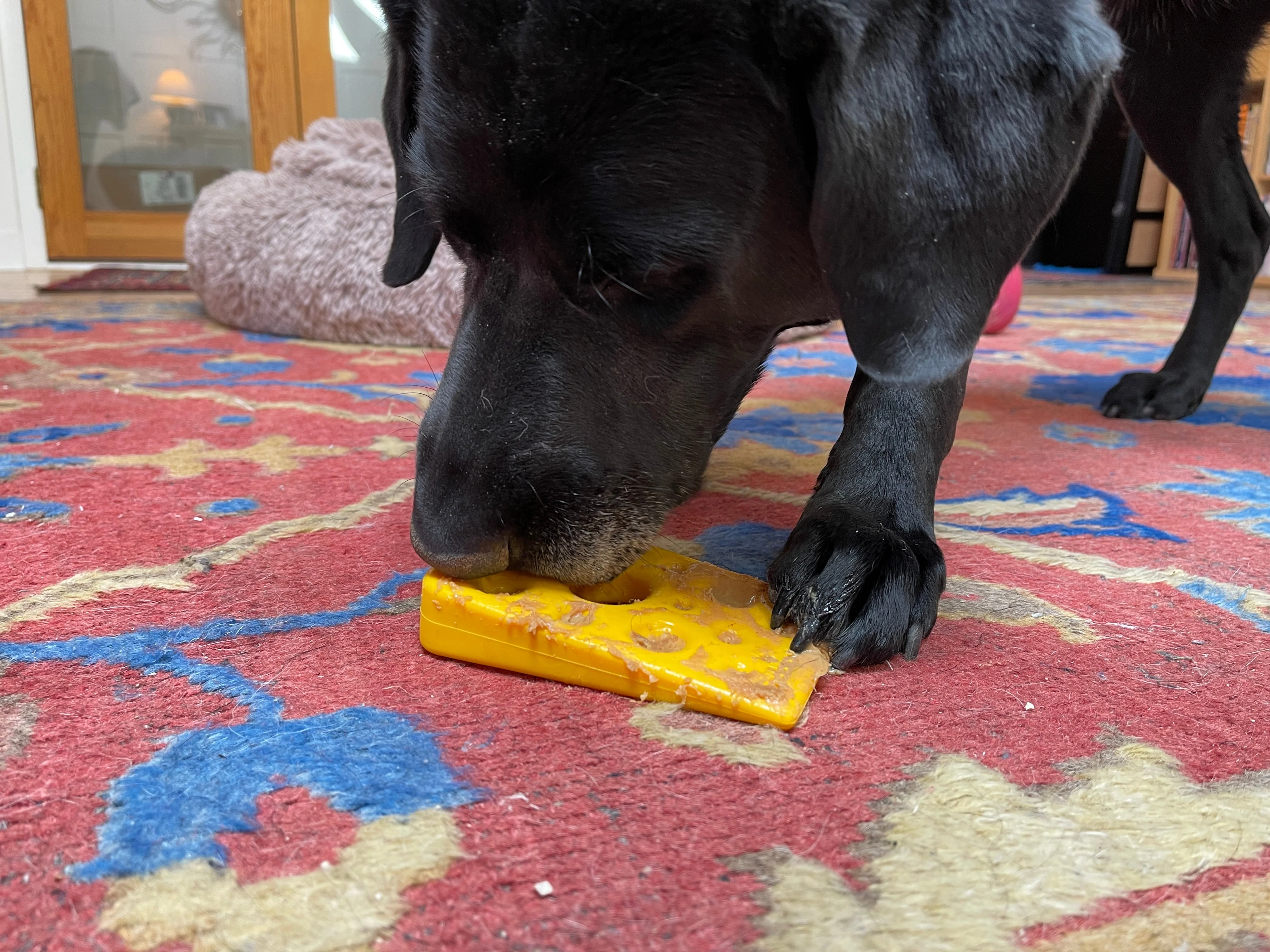 Swiss Cheese Wedge Nylon Dog Chew Toy for Aggressive Chewers | SodaPup - Image 3