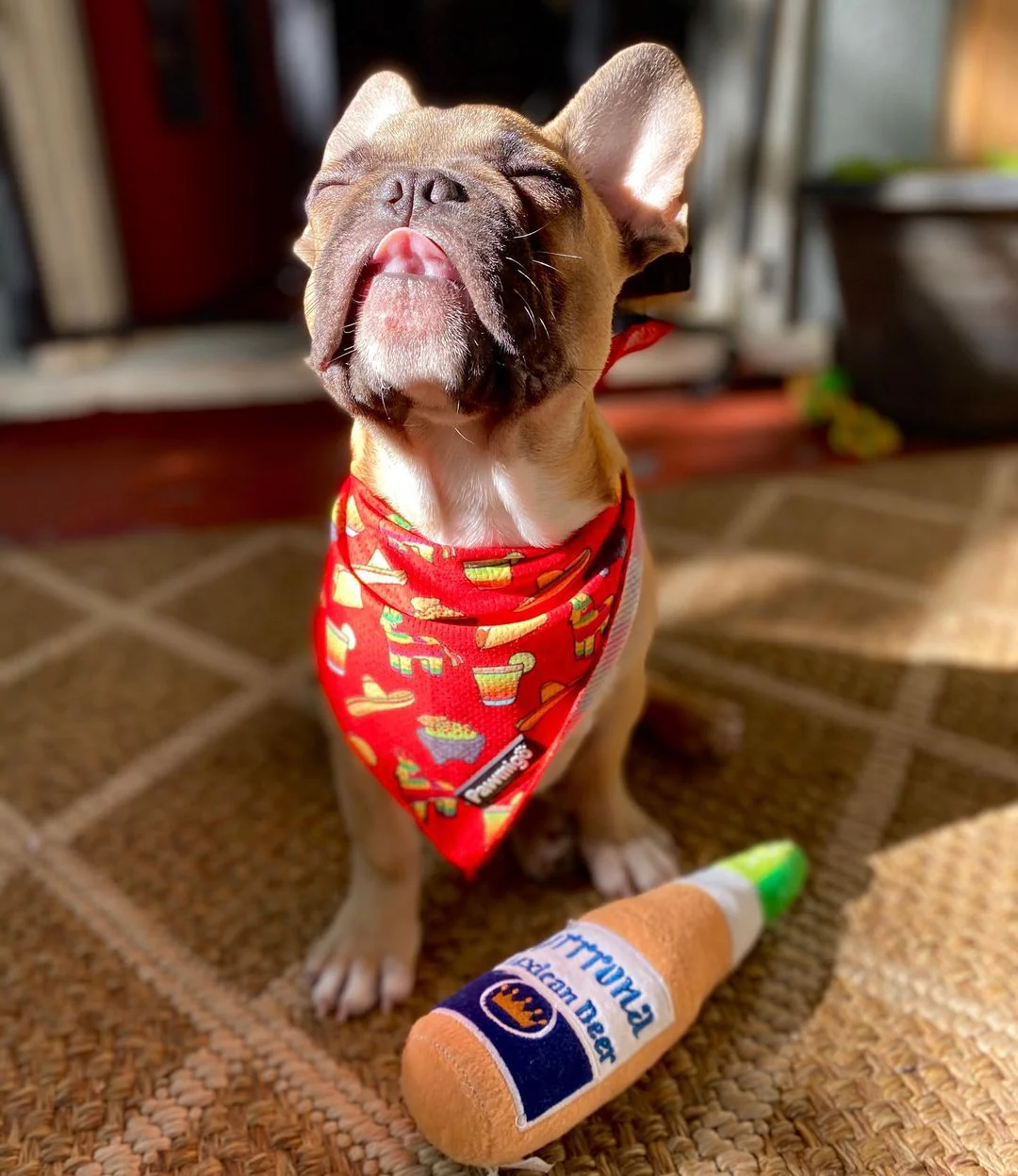 Taco Tuesday Cooling Bandana - Image 2