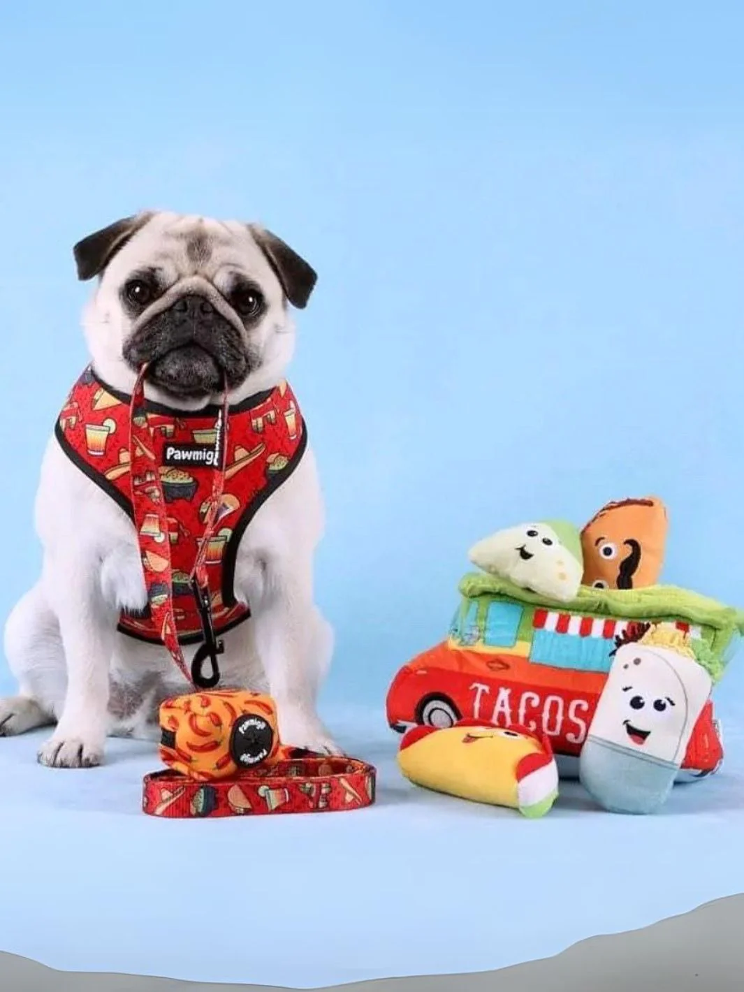 Taco Tuesday Leash Kit - Image 2