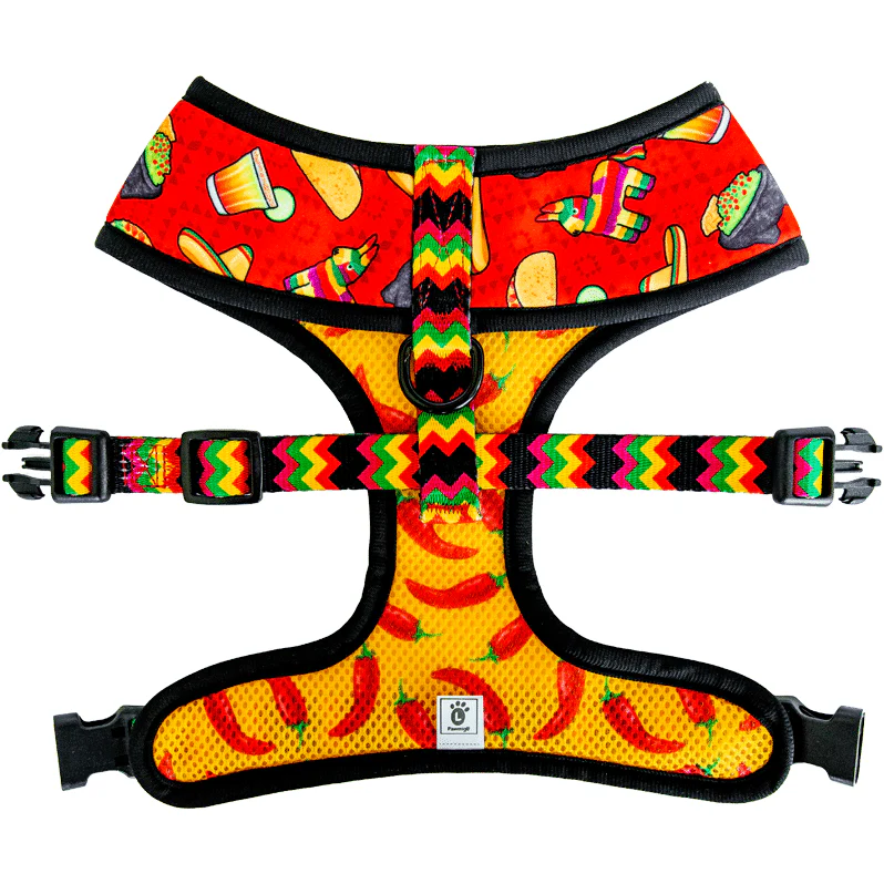 Taco Tuesday Reversible Harness - Image 8