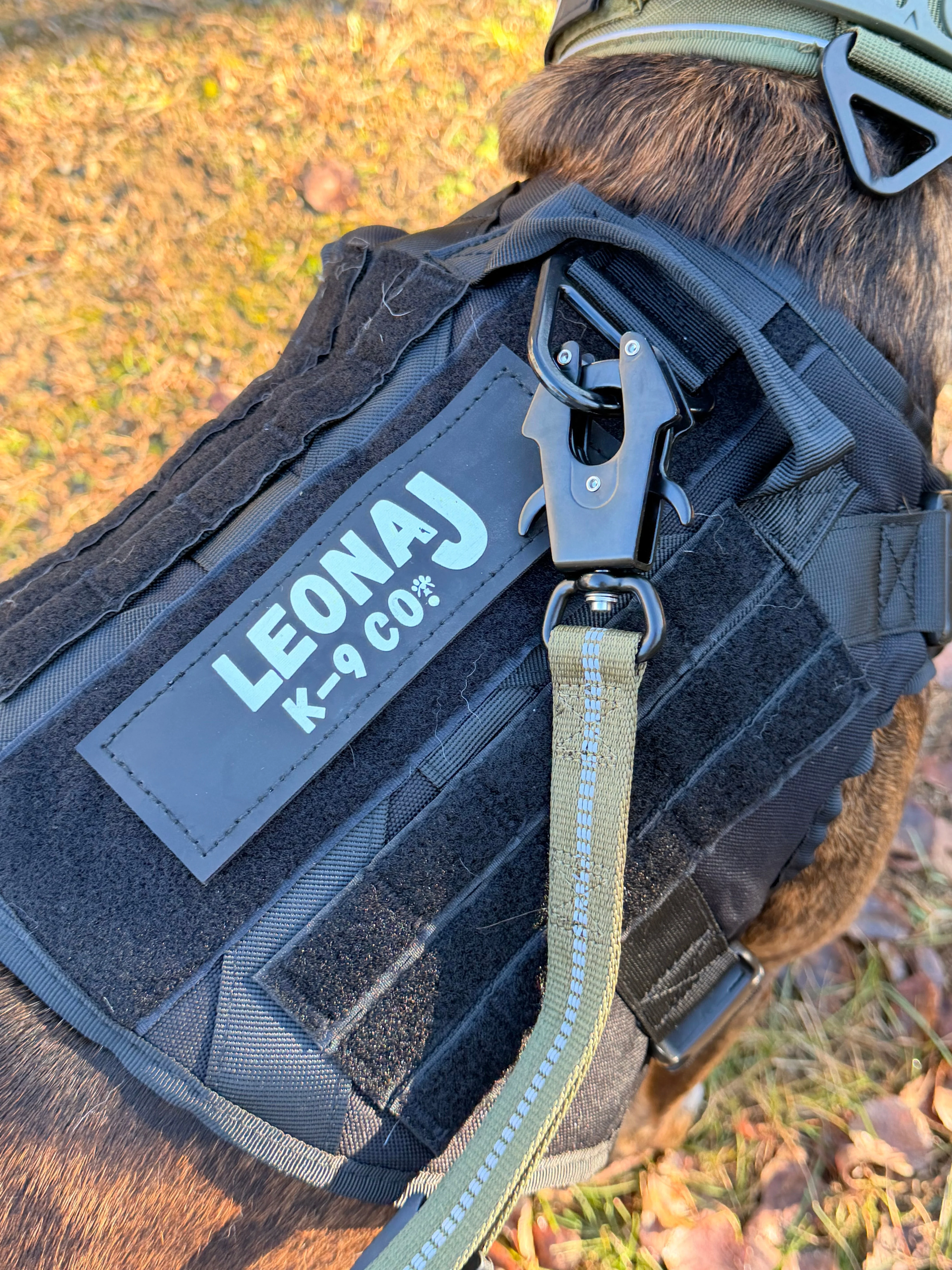 Tactical Dog Harness - Heavy Duty & Quick Release - Image 11