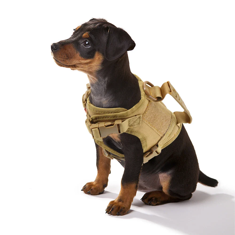Tactical Puppy Harness Leash Set – Adjustable Military-Style Vest for Small Dogs & Cats, Ideal for Training & Walking - Image 2