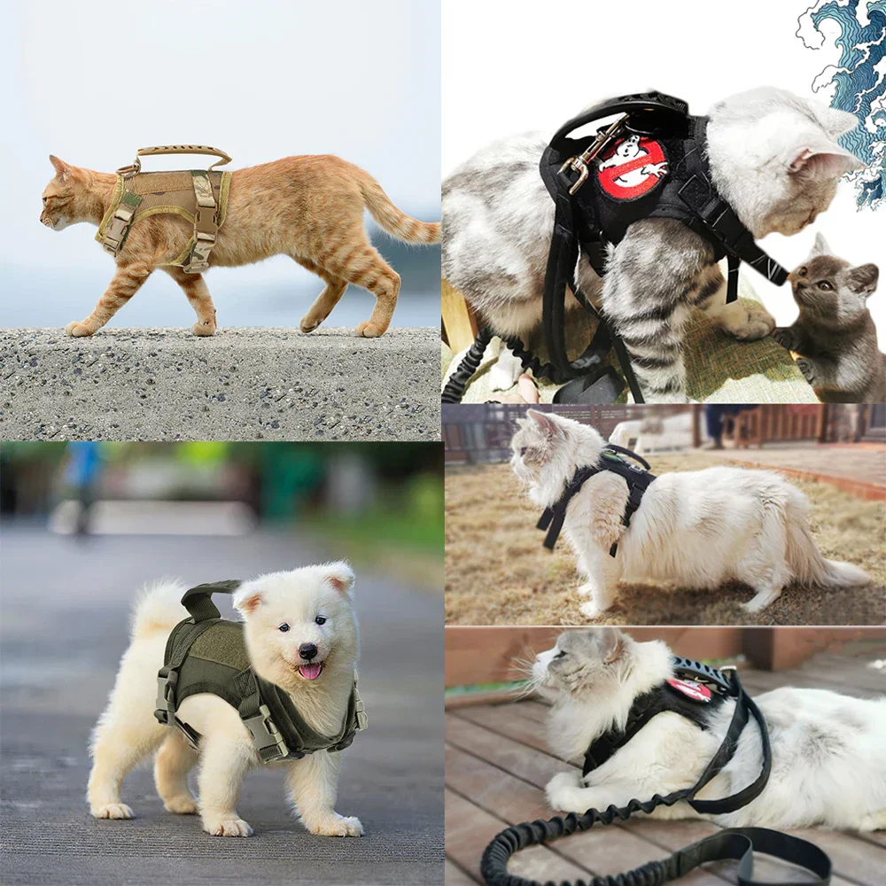 Tactical Puppy Harness Leash Set – Adjustable Military-Style Vest for Small Dogs & Cats, Ideal for Training & Walking - Image 7