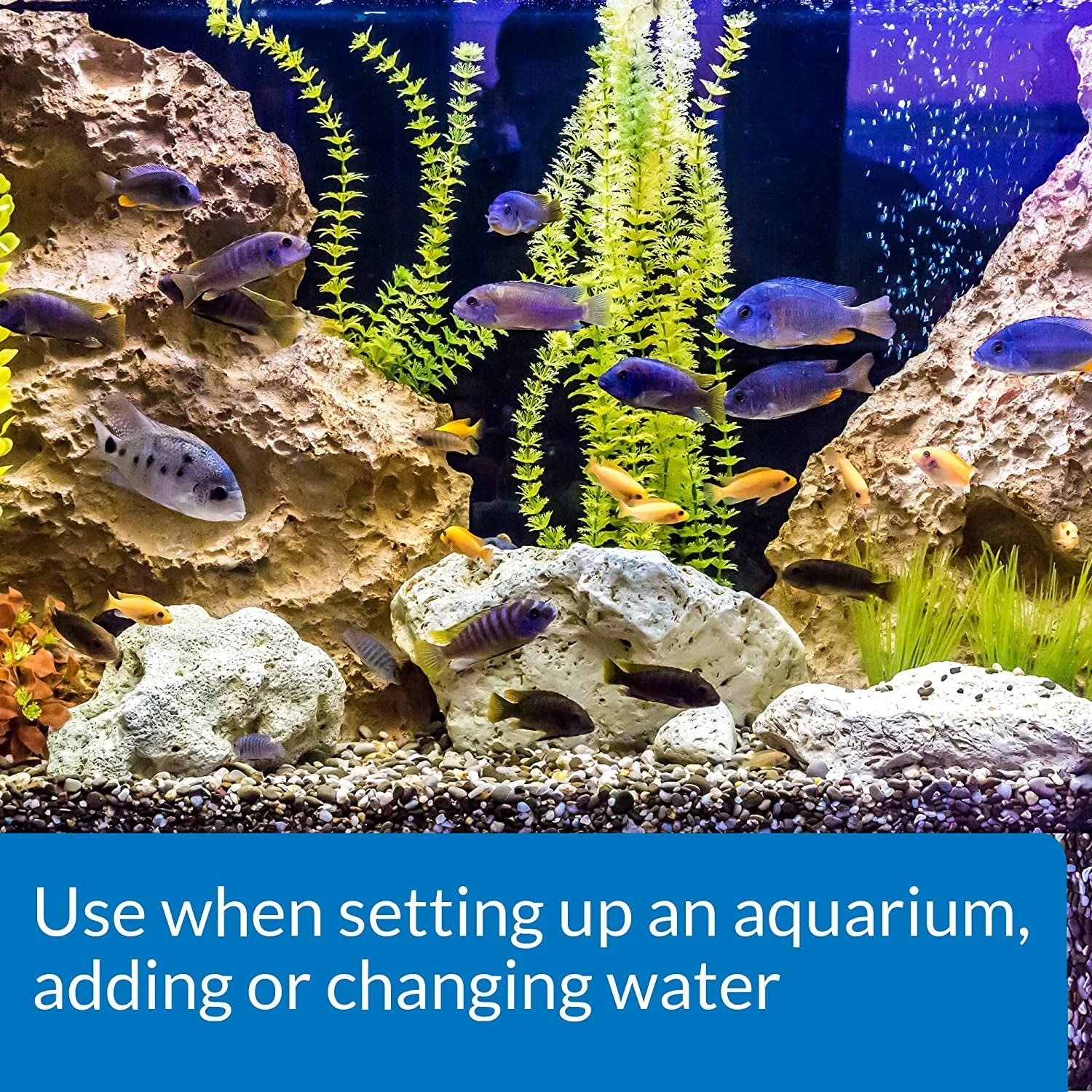 TAP WATER CONDITIONER Aquarium Water Conditioner 1-Ounce Bottle - Image 3