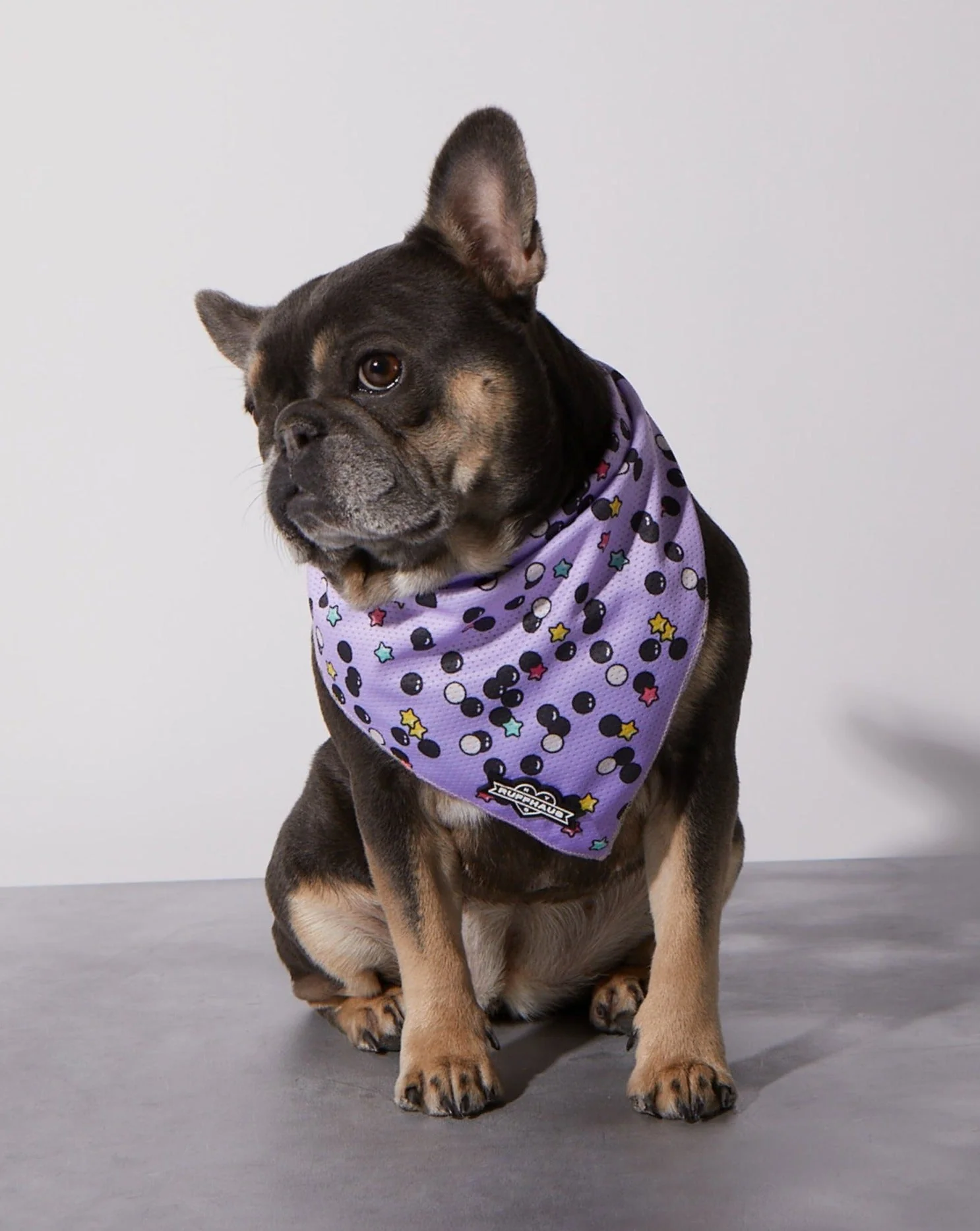 Taro Boba Cooling Bandana - Image 2