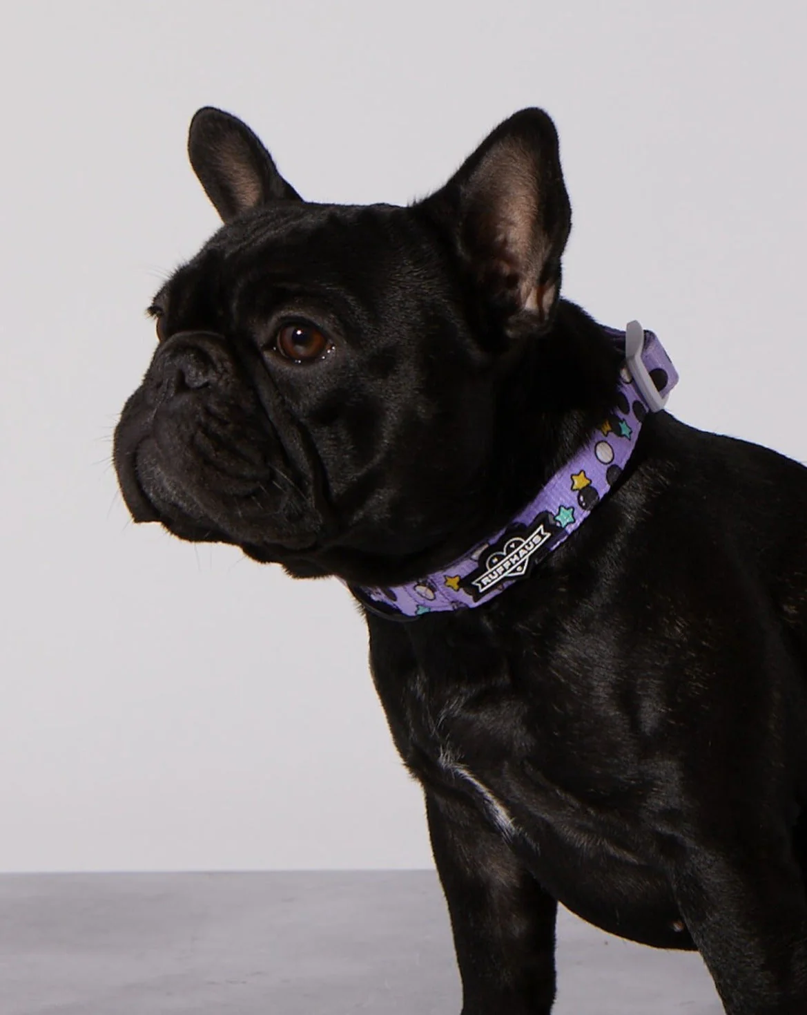 Taro Boba Dog Collar & Bowtie - Image 3
