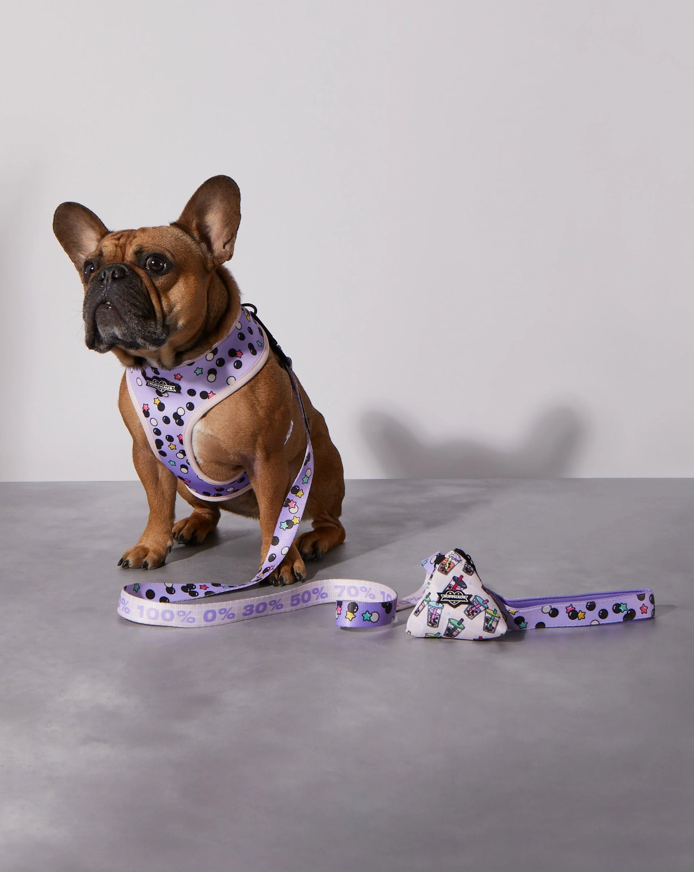 Taro Boba Dog Leash - Image 2