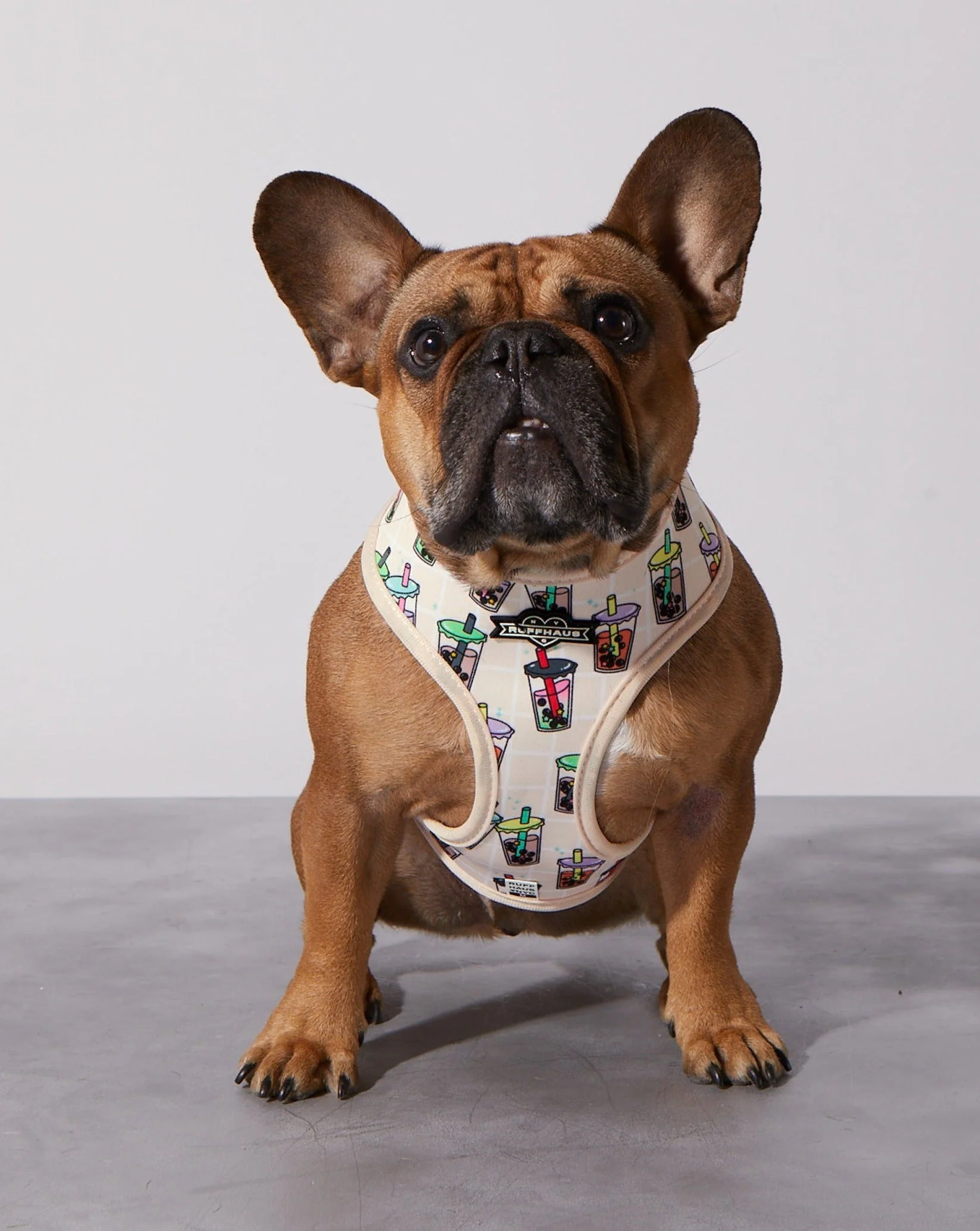 Taro Boba Reversible Harness - Image 3