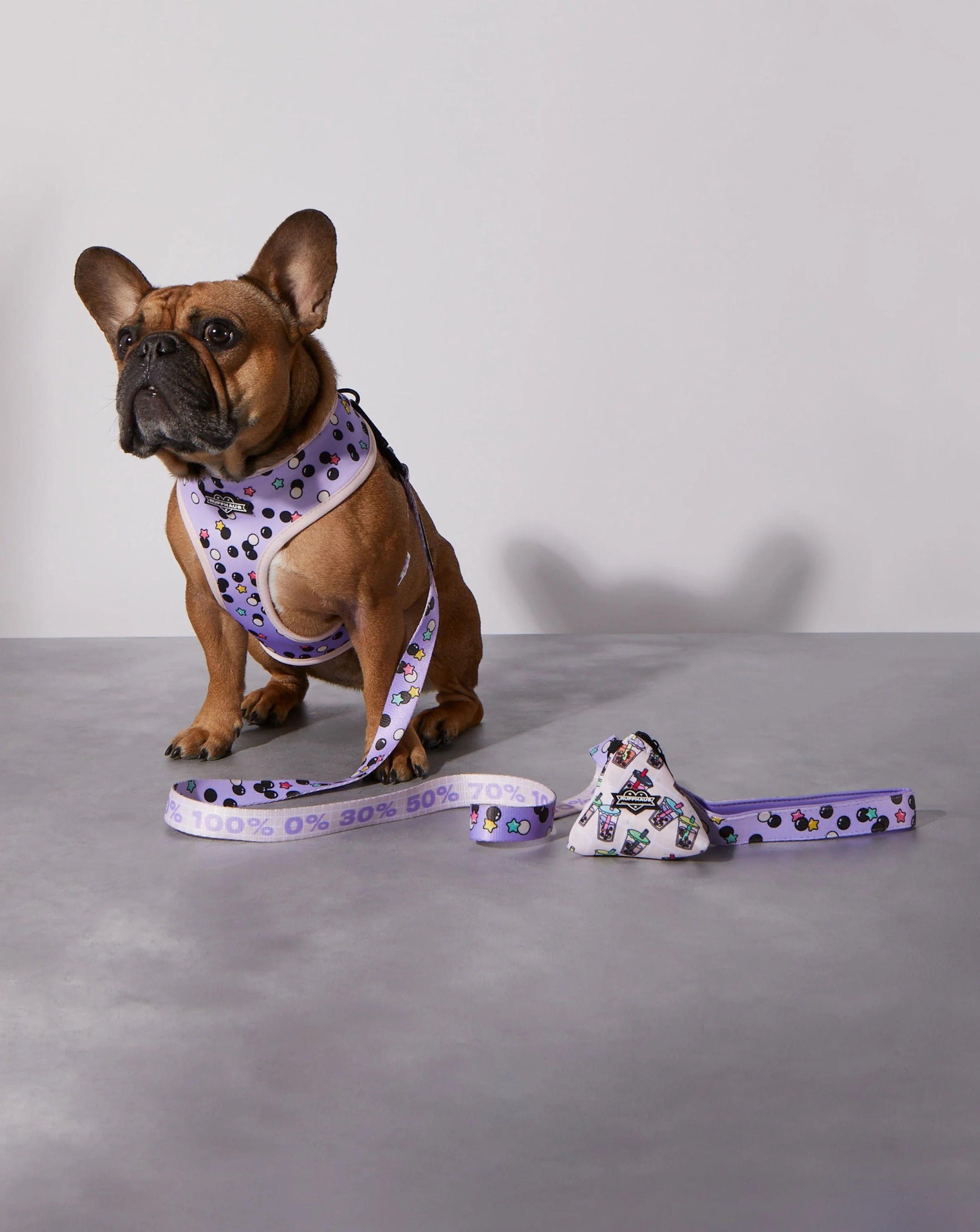 Taro Boba Reversible Harness - Image 4