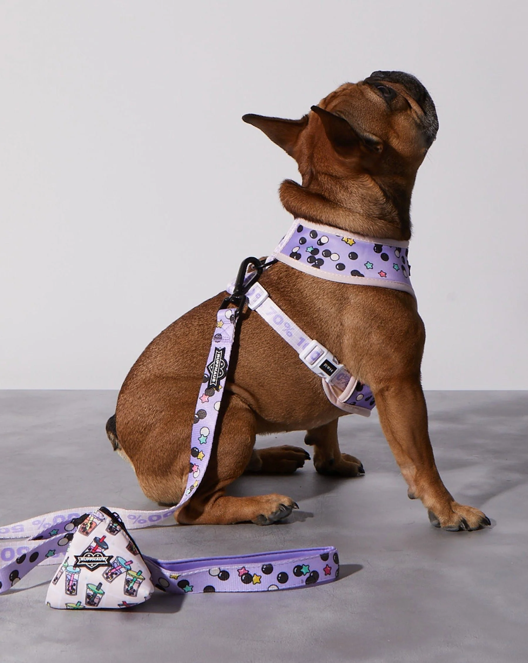 Taro Boba Reversible Harness - Image 5