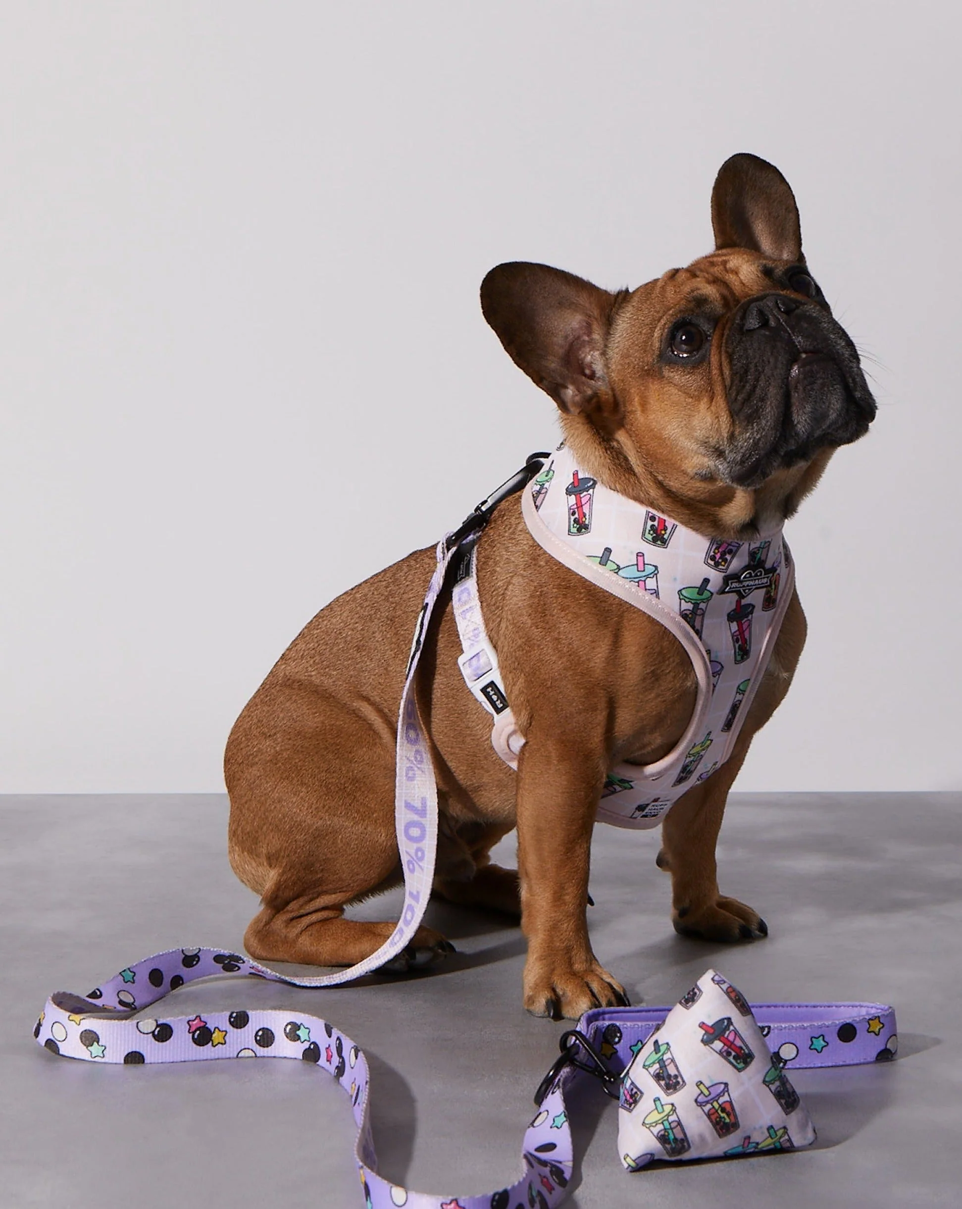 Taro Boba Reversible Harness - Image 6