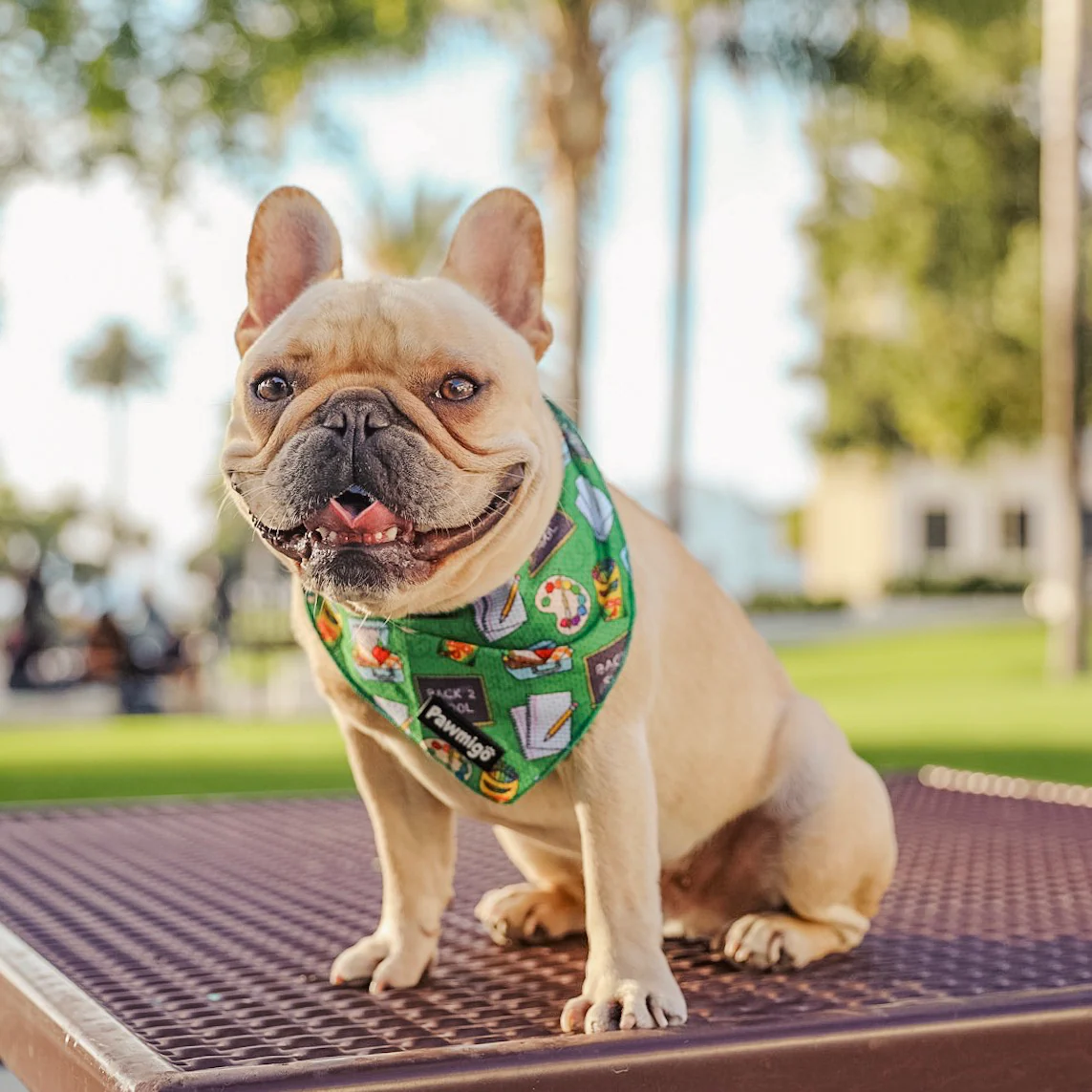 Teacher's Pet Cooling Bandana - Image 2