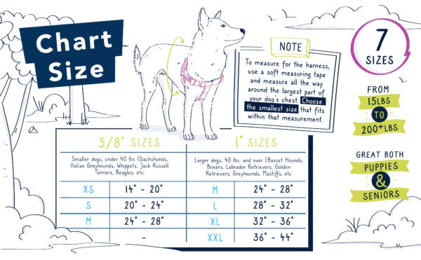 Teal Freedom No-Pull Dog Harness - Image 5