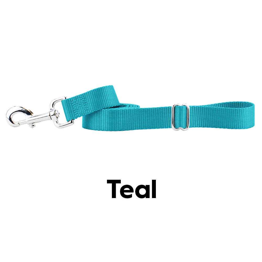 Teal Nylon Dog Leash - Image 2