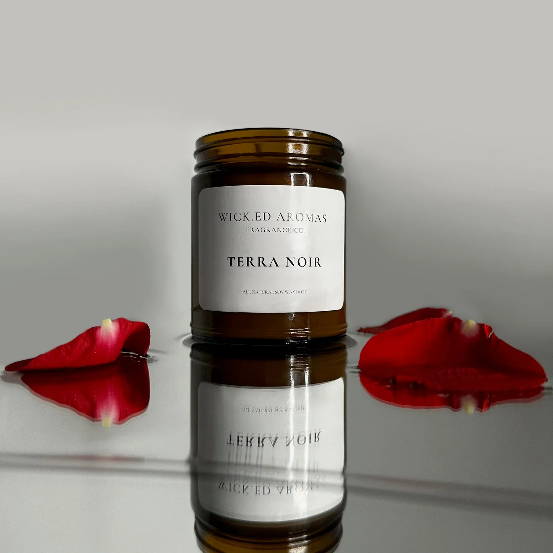 Terra Noir - Image 2