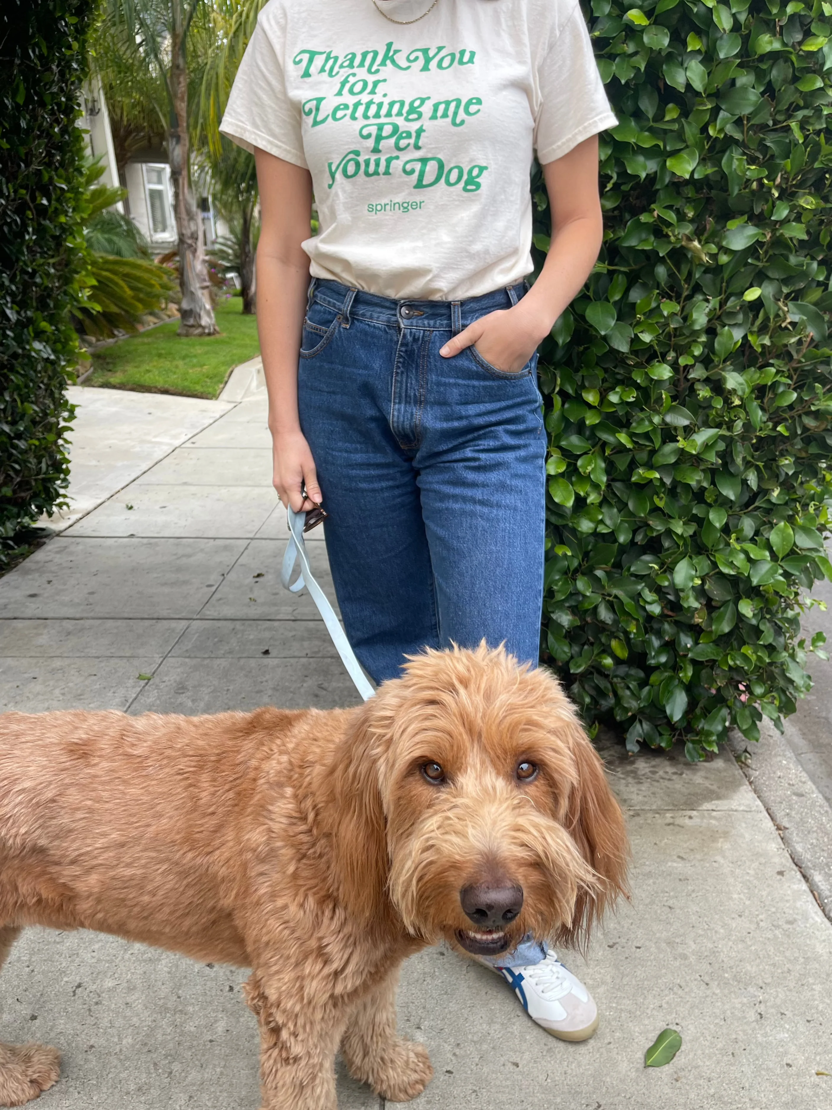 Thank You For Letting Me Pet Your Dog Tee - Image 4