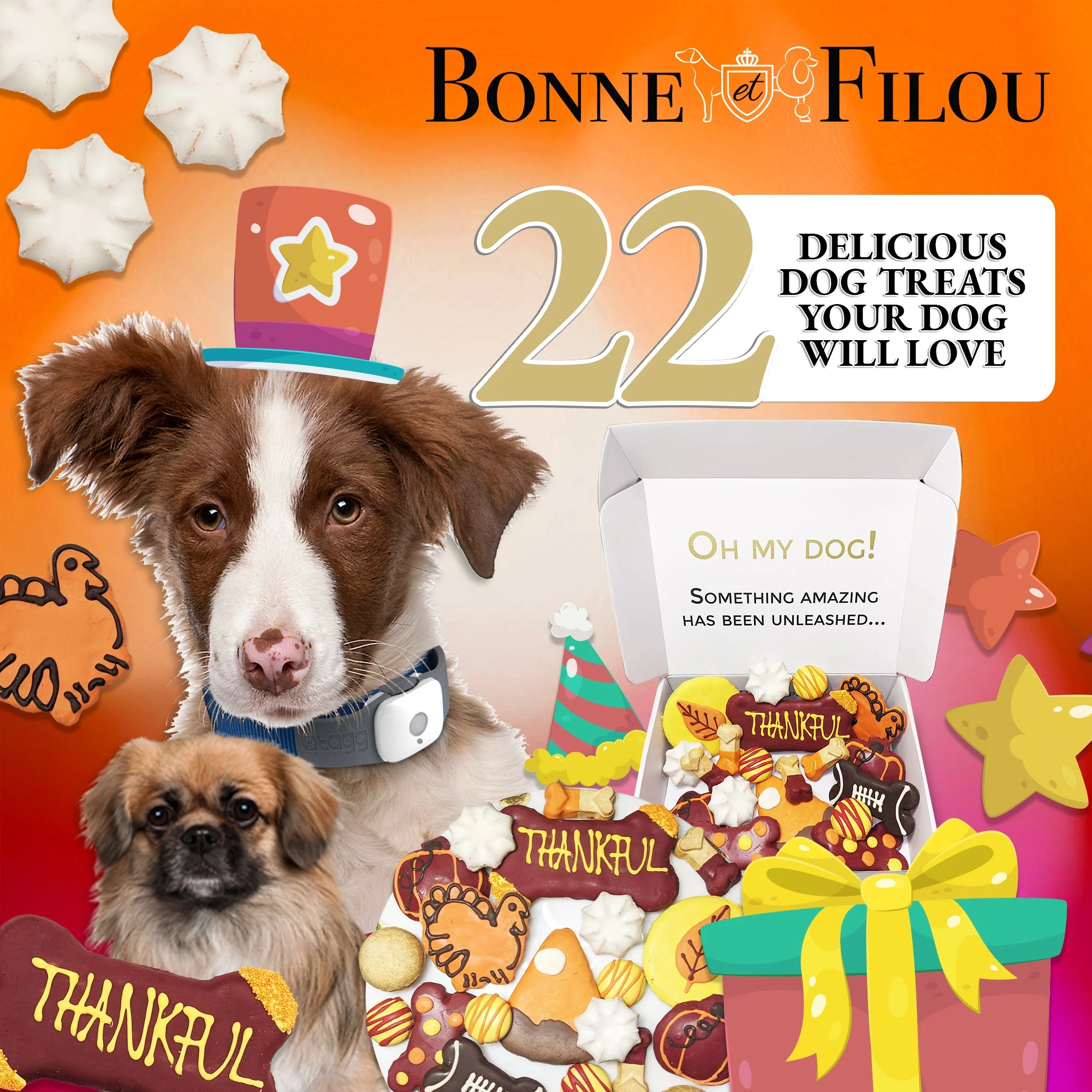 Thankful Themed Dog Treats Gift Box - Image 6
