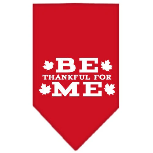 Thanksgiving Pet and Dog Bandana Screen Printed, "Be Thankful For Me" - Image 7